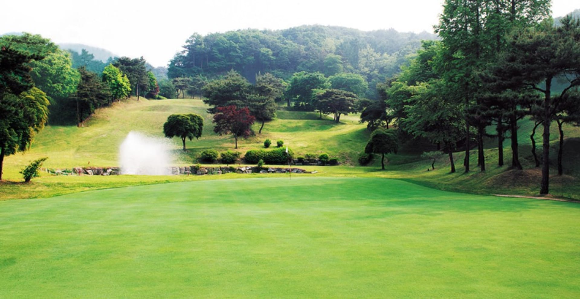 Joil Plaza Golf