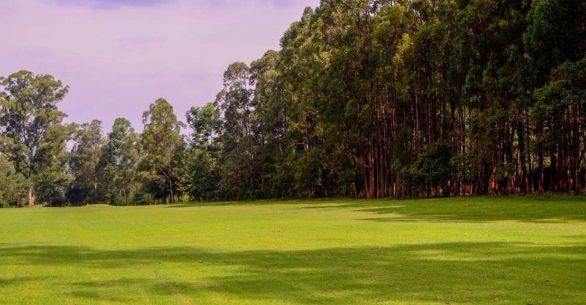 Kakamega Sports Club