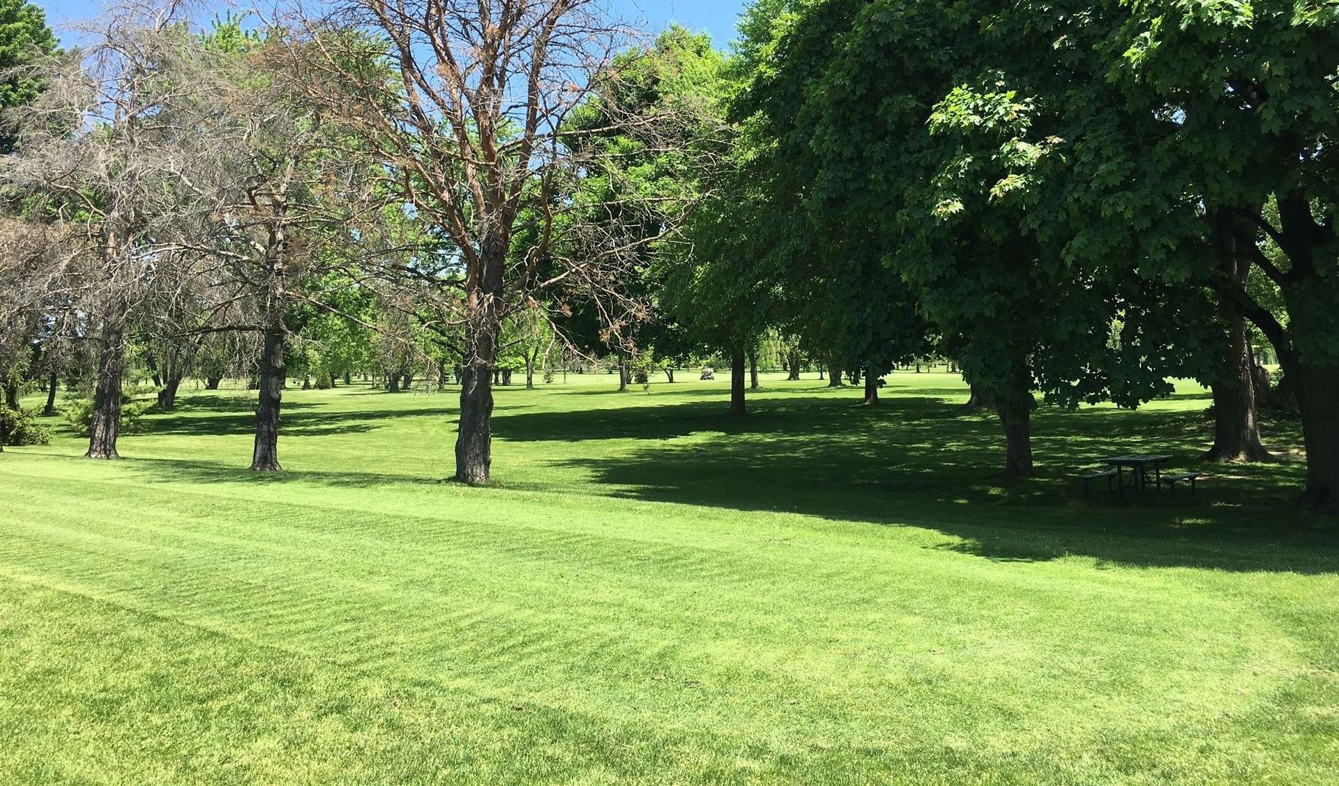 Royal Oak Golf Club
