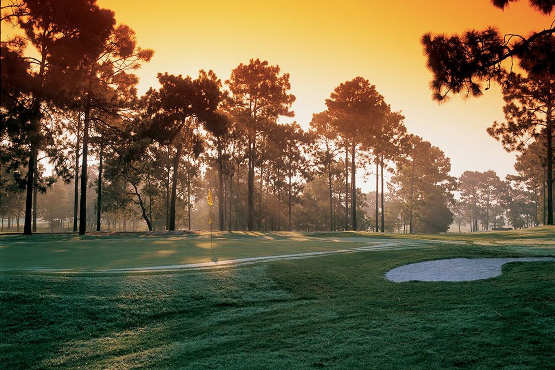 On Top of the World Golf Club Ocala (Tortoise and the Hare)