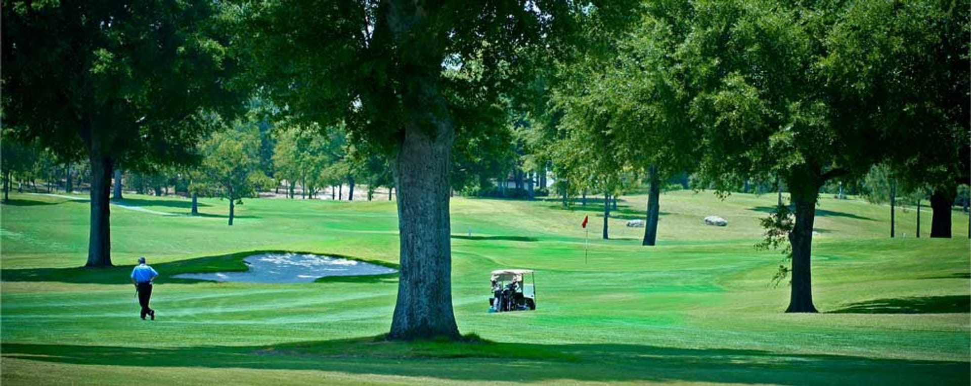 On Top of the World Golf Club Ocala (The Links)