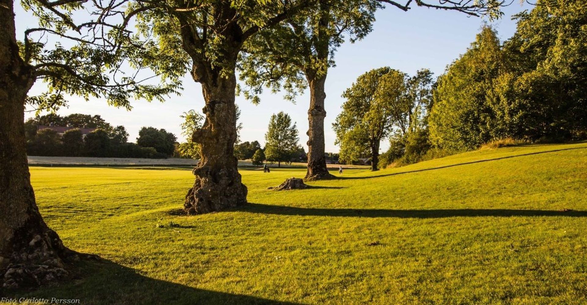 Sigtuna Golfklubb