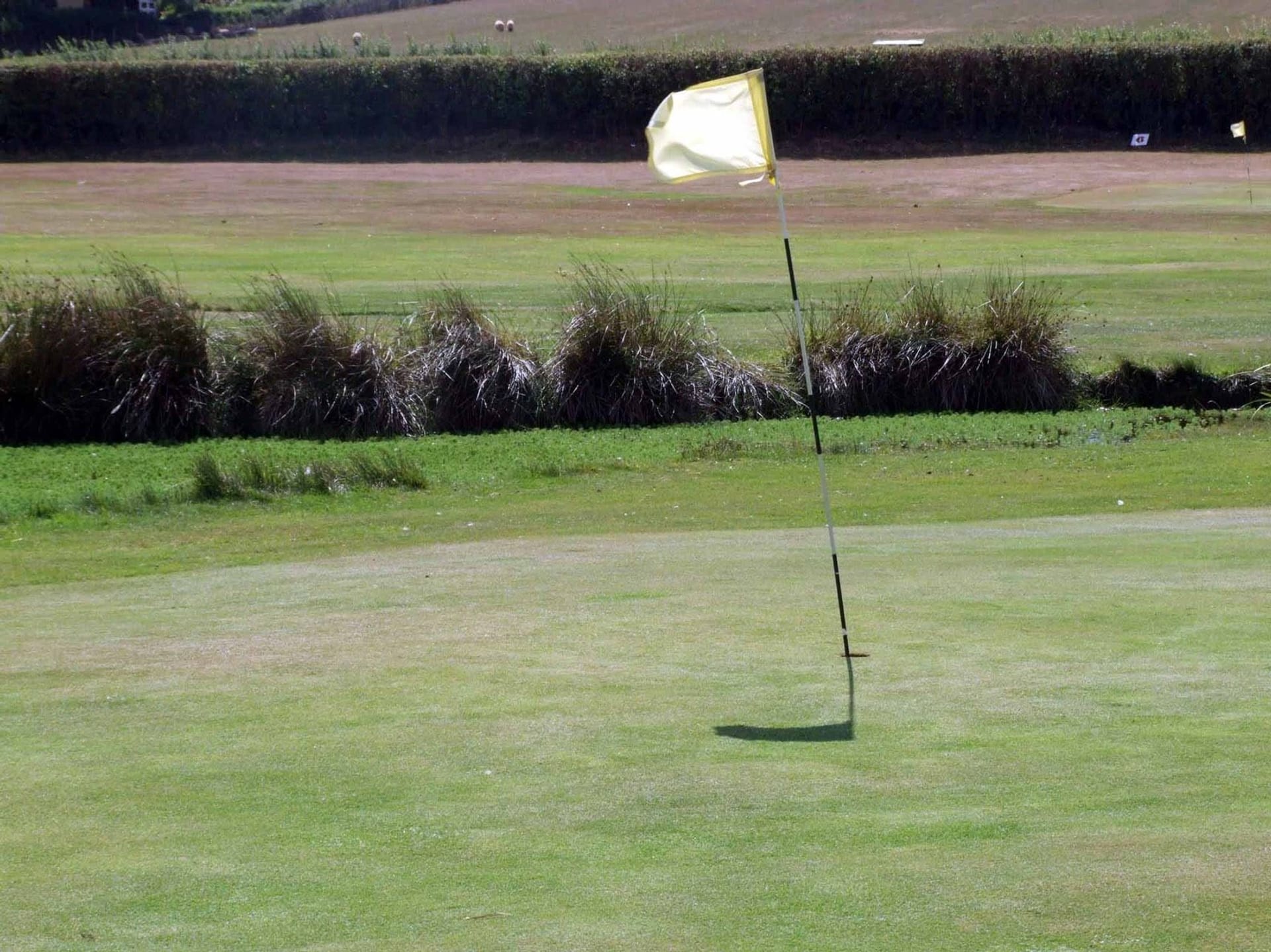 Starcross Golf