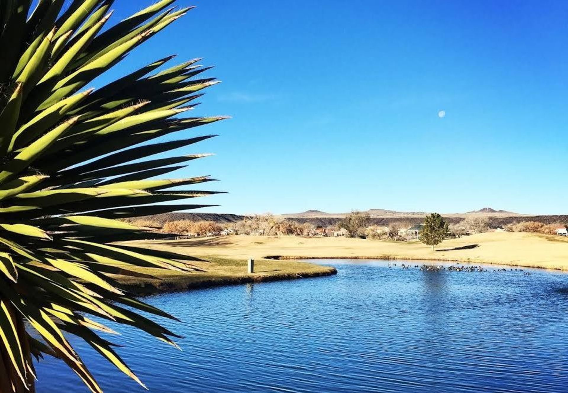 Ladera Golf Course (Executive)