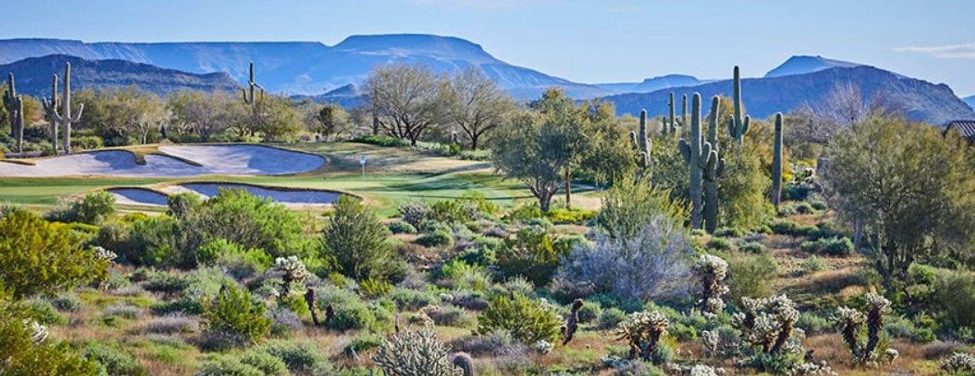 Anthem Golf & Country Club (Persimmon)