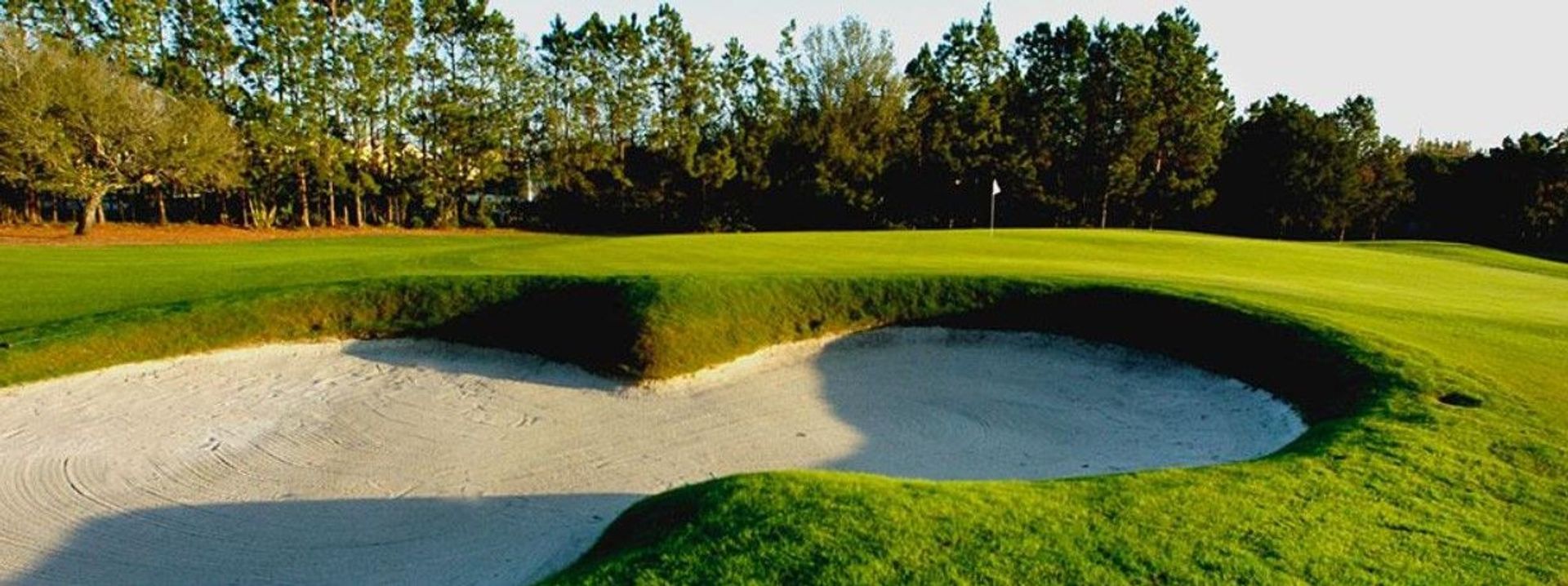 Carrollwood Country Club