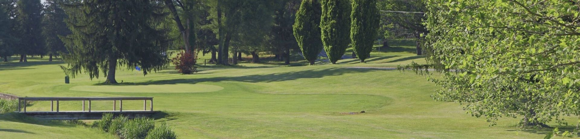 Orchard Creek