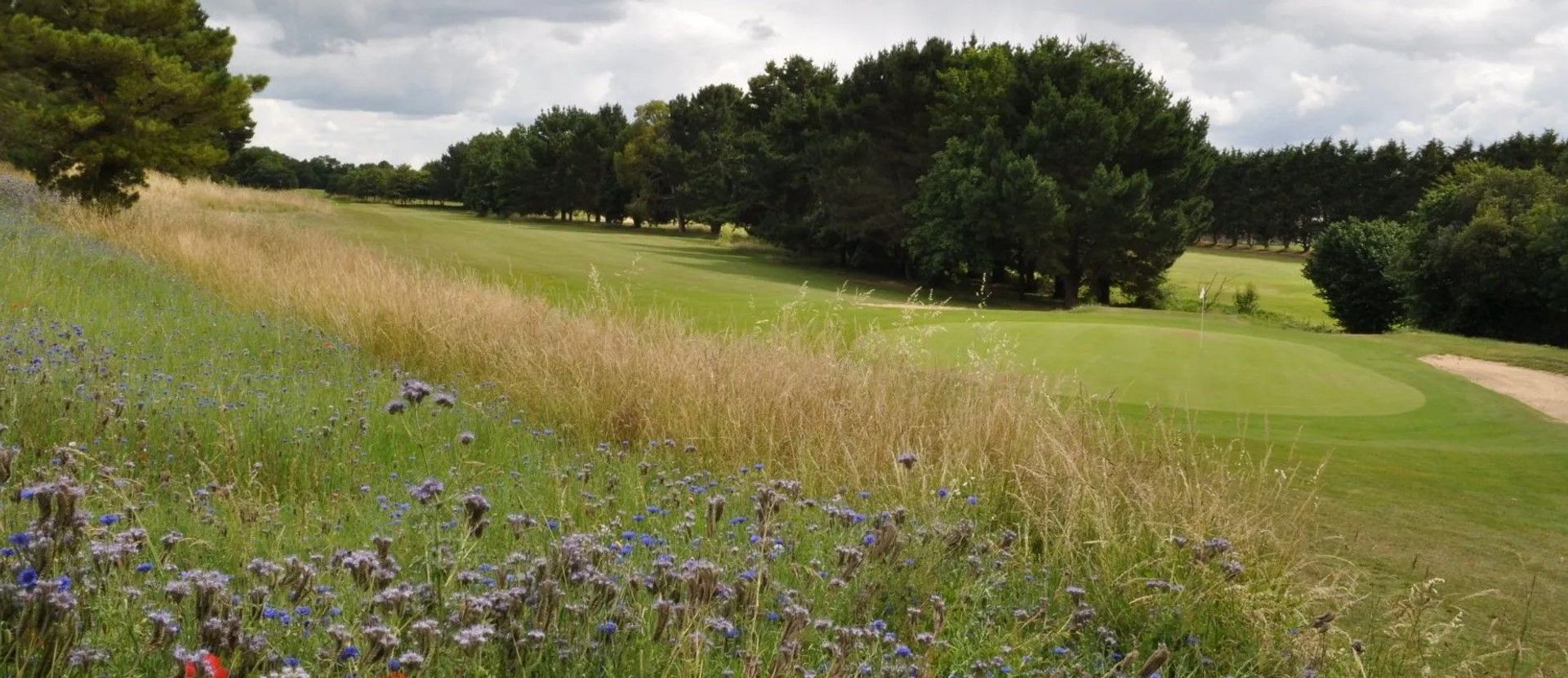 Golf de Fréhel - Sables d'Or Les Pins