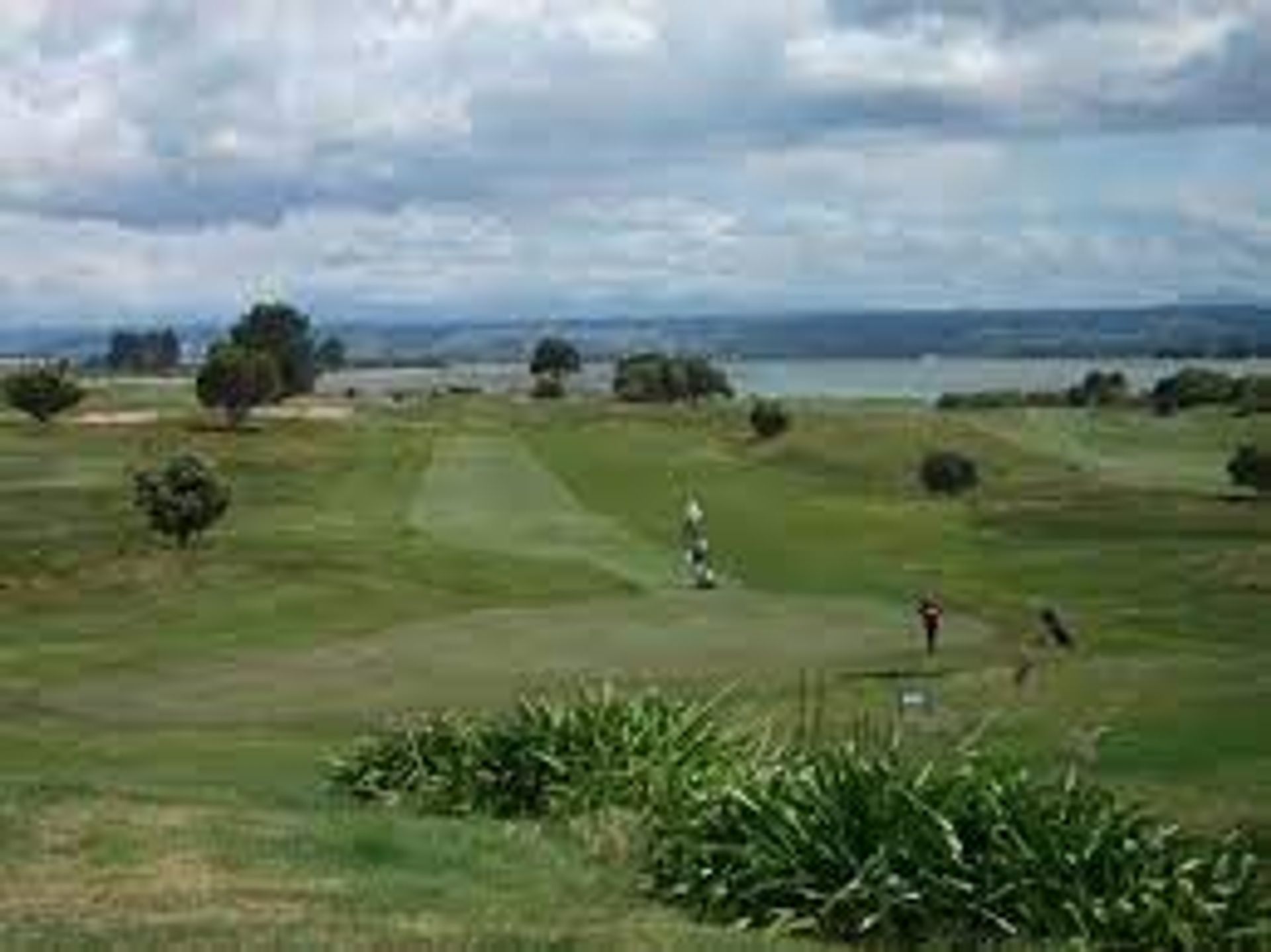 Nelson Golf Club