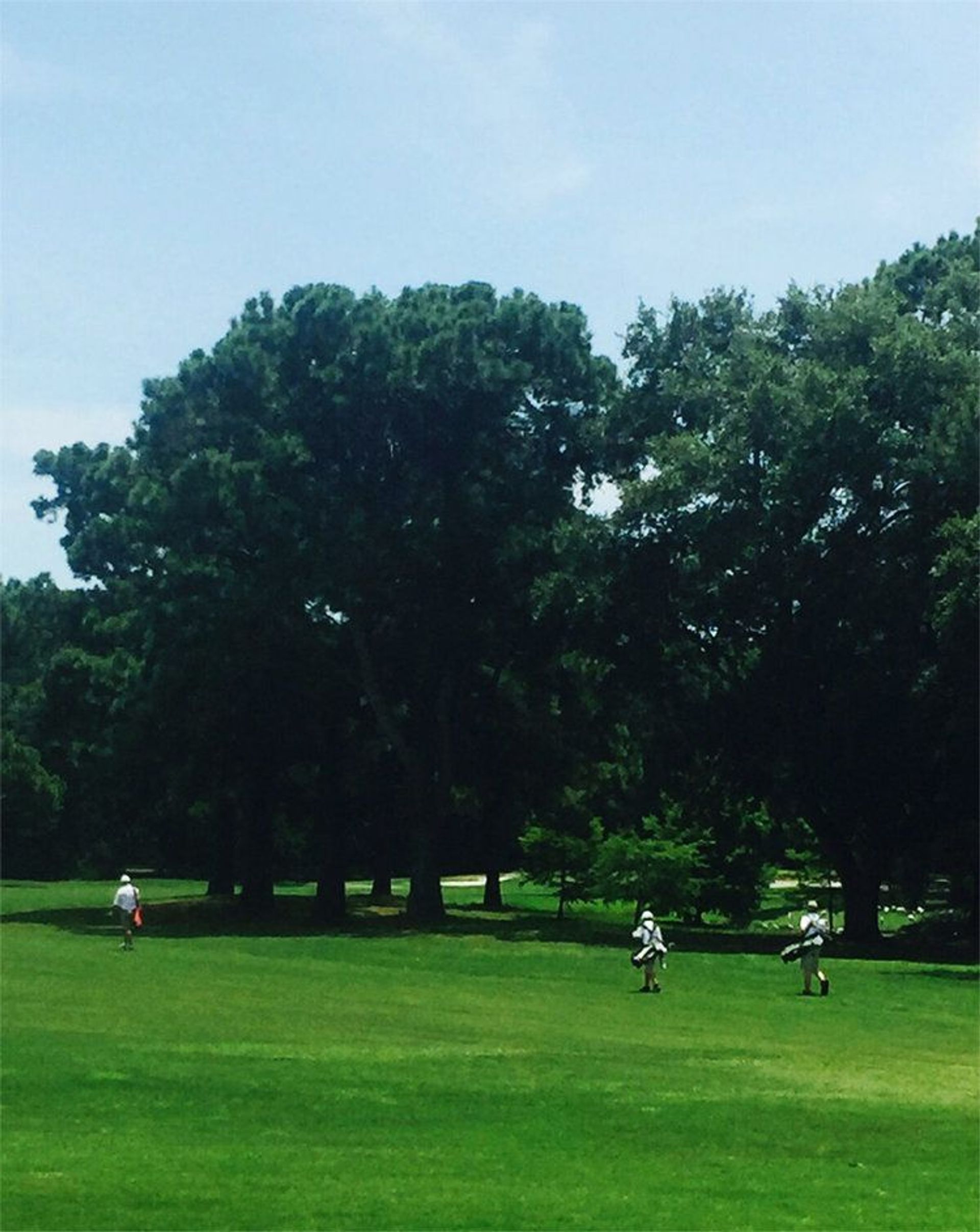 Spanish Wells Club