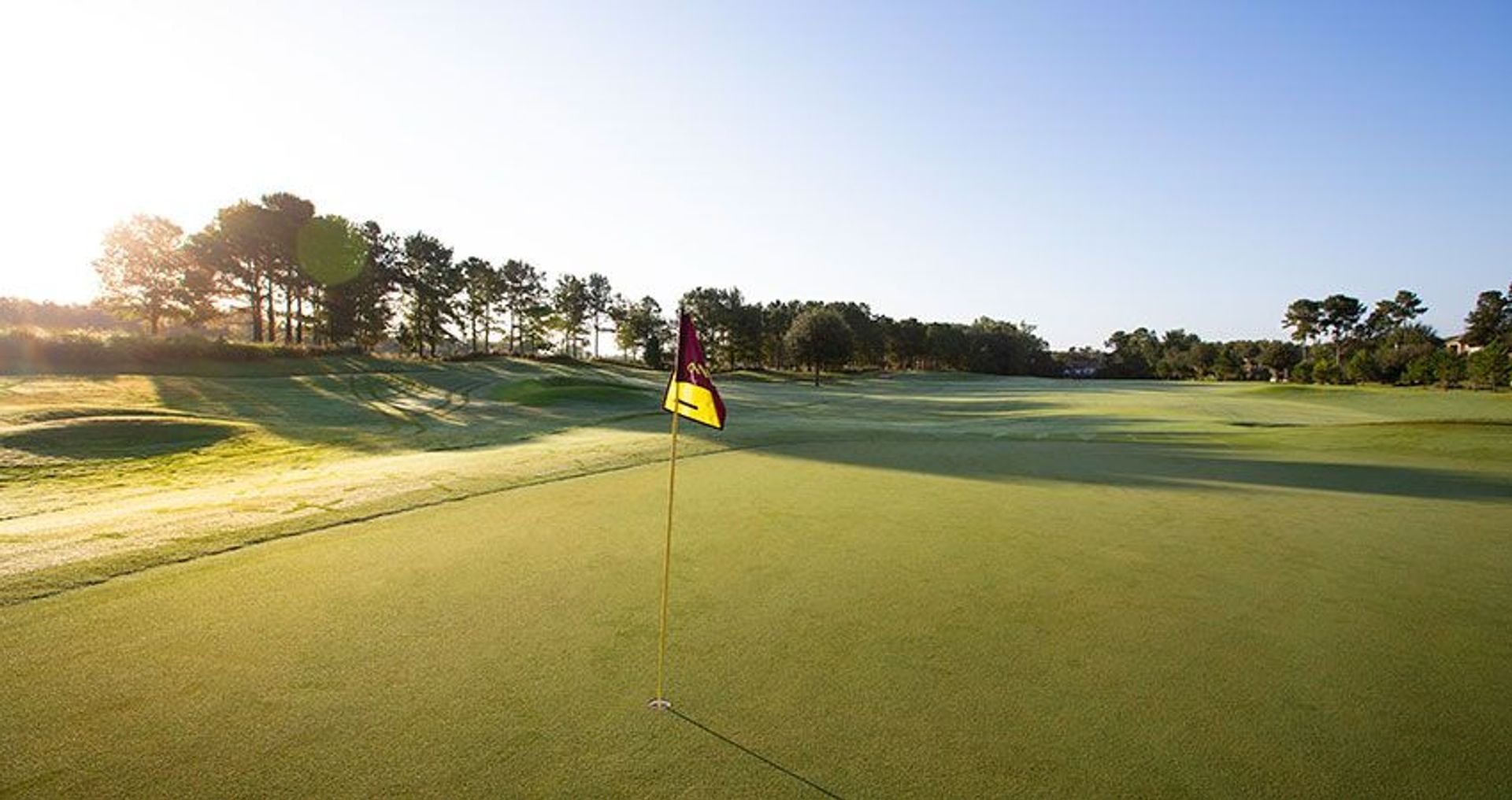 Hampton Hall Club