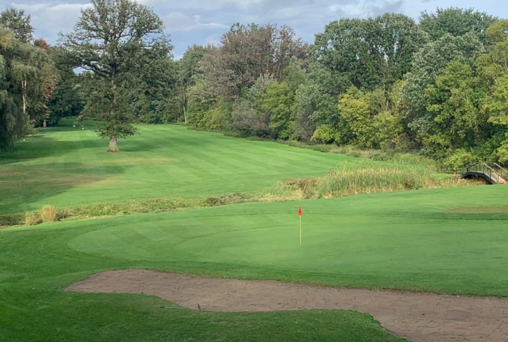 Willow Tree Golf