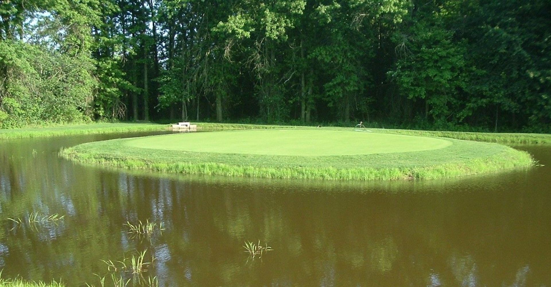 Parto's Big On Golf