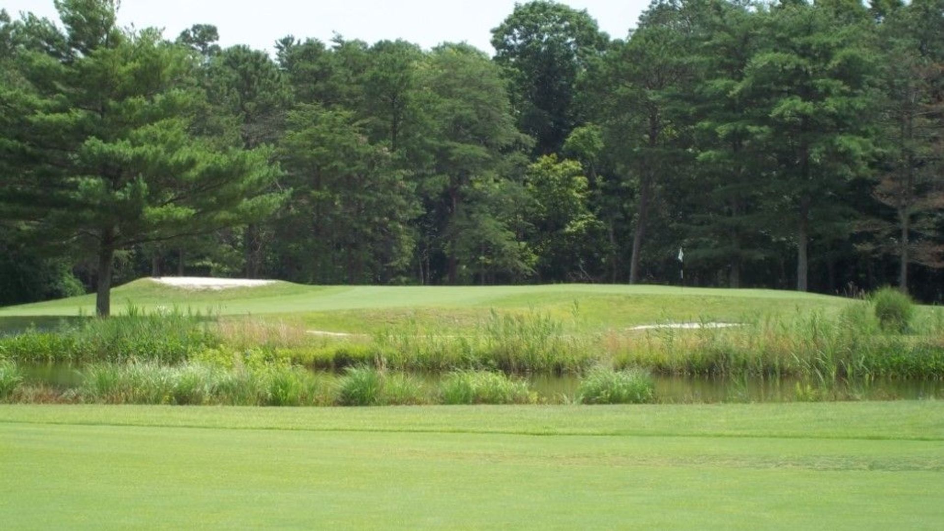 The Pines at Clermont Golf Club