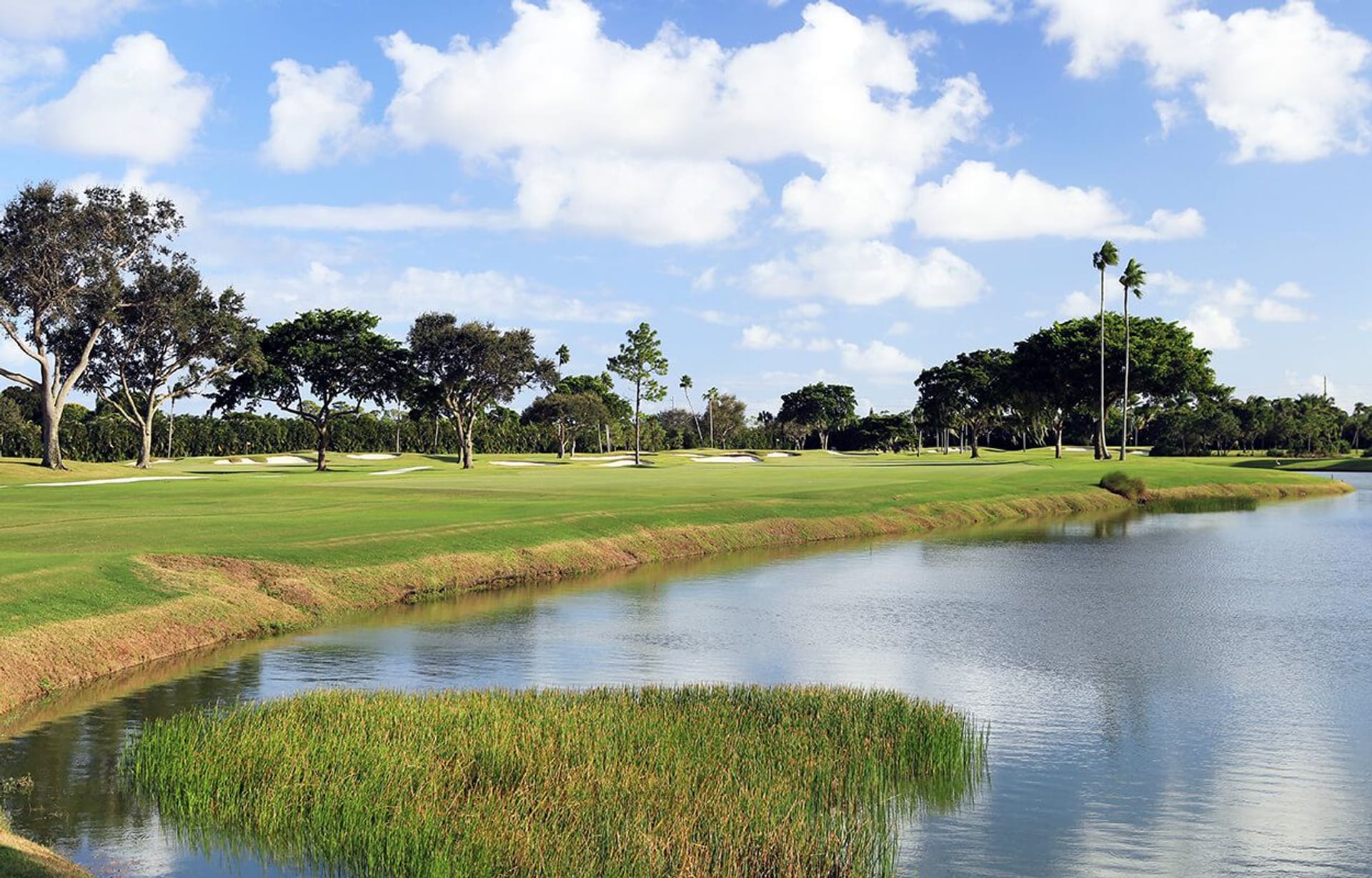 Pine Tree Golf Club