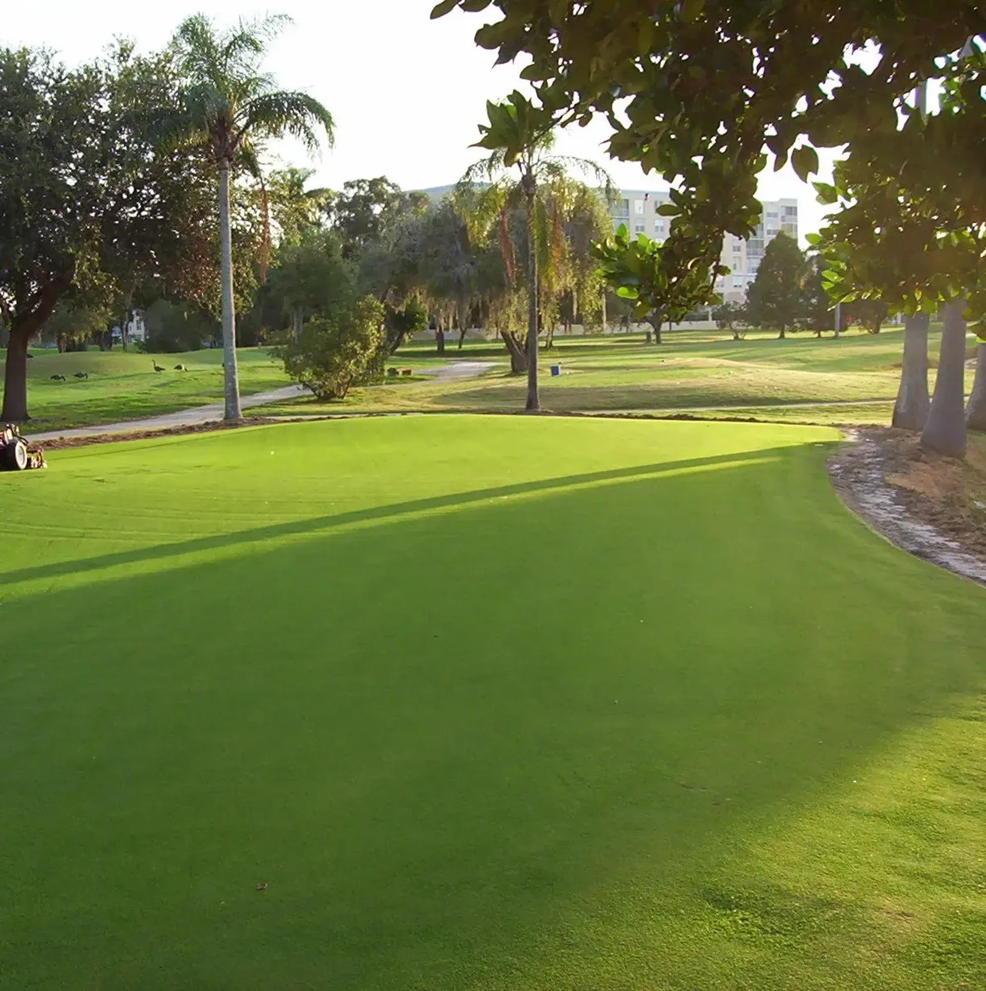 Pinebrook Ironwood Golf Course