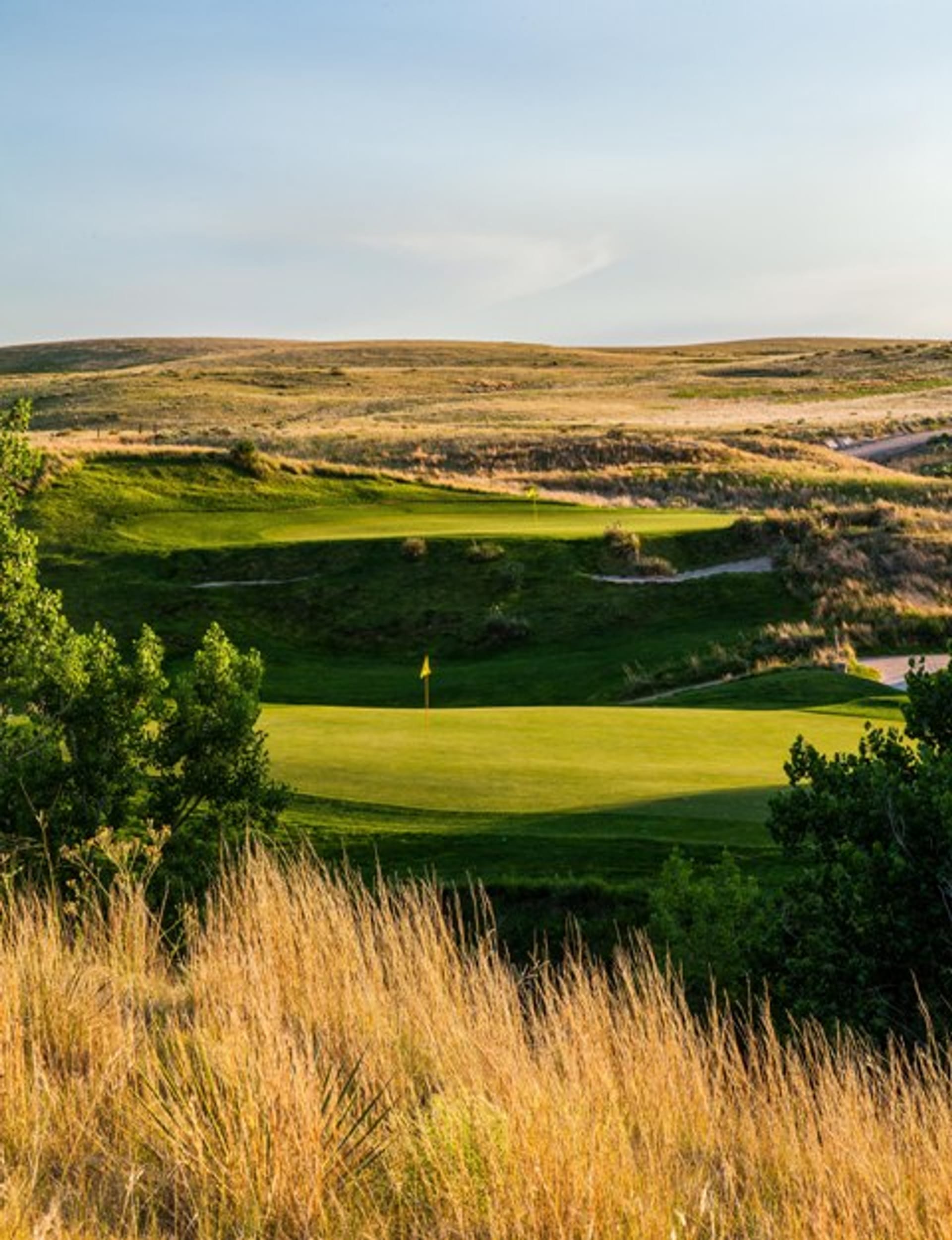 Bayside Golf