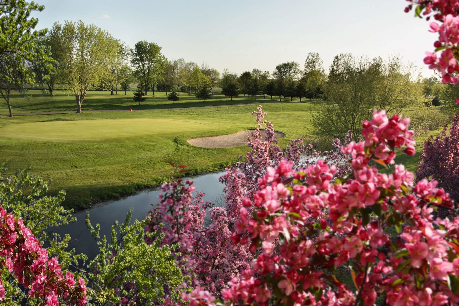 Albany Golf Club