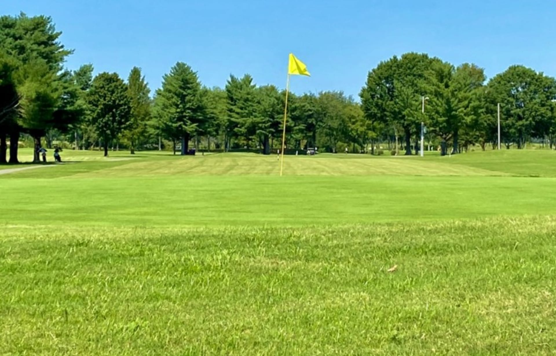 Riverside Golf Links (Executive)