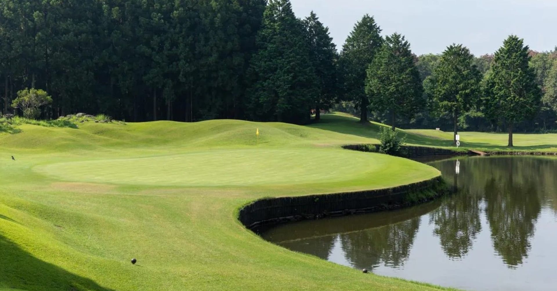 中古本】The History of GOLF in Japan世界ゴルフ大観 中古本