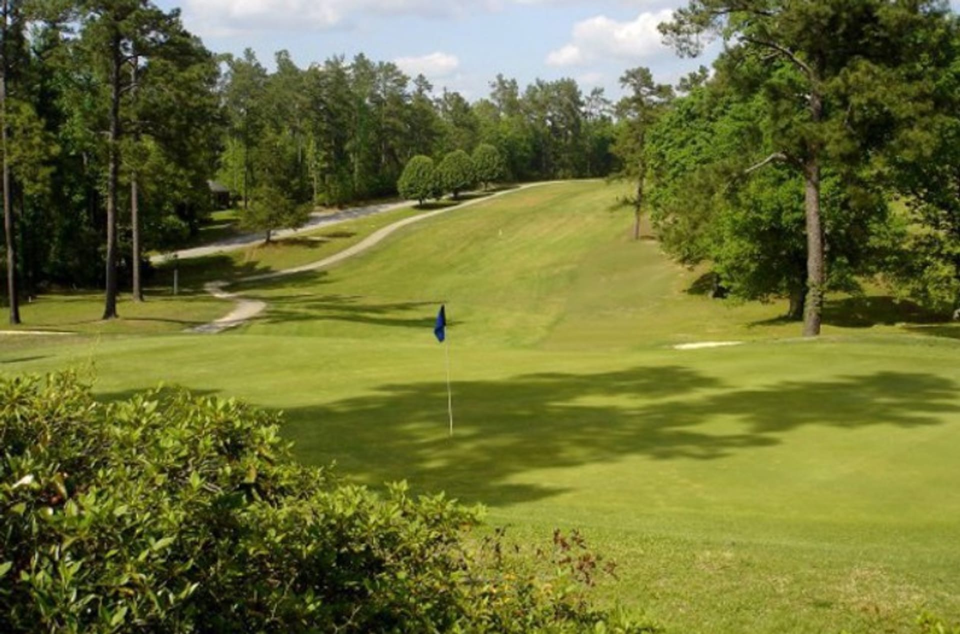 Calhoun Hills Golf Complex