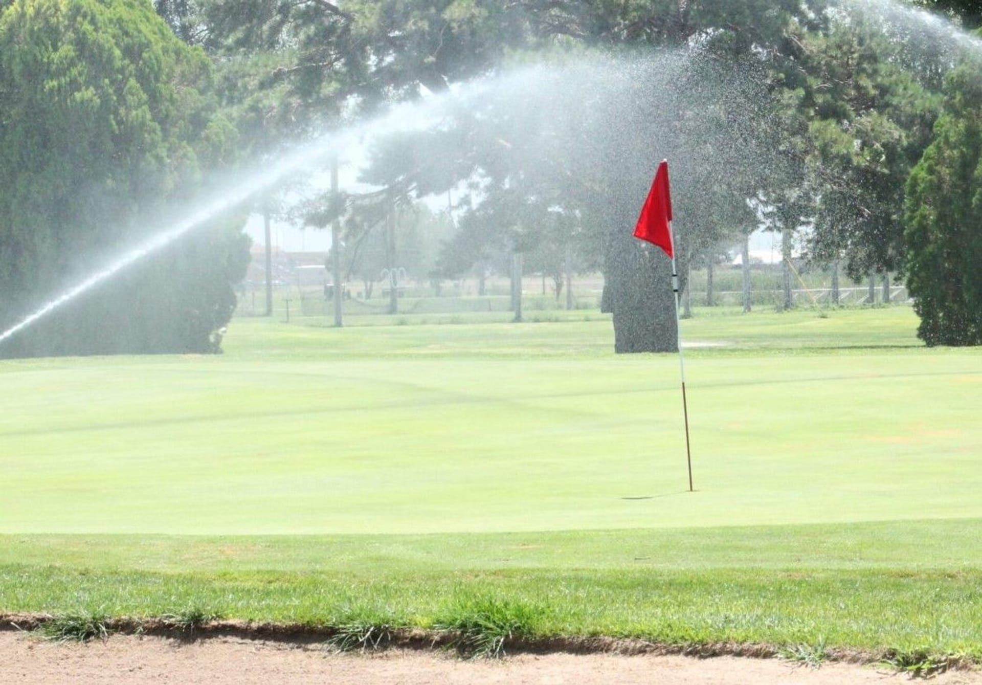 Willow Tree Golf Course