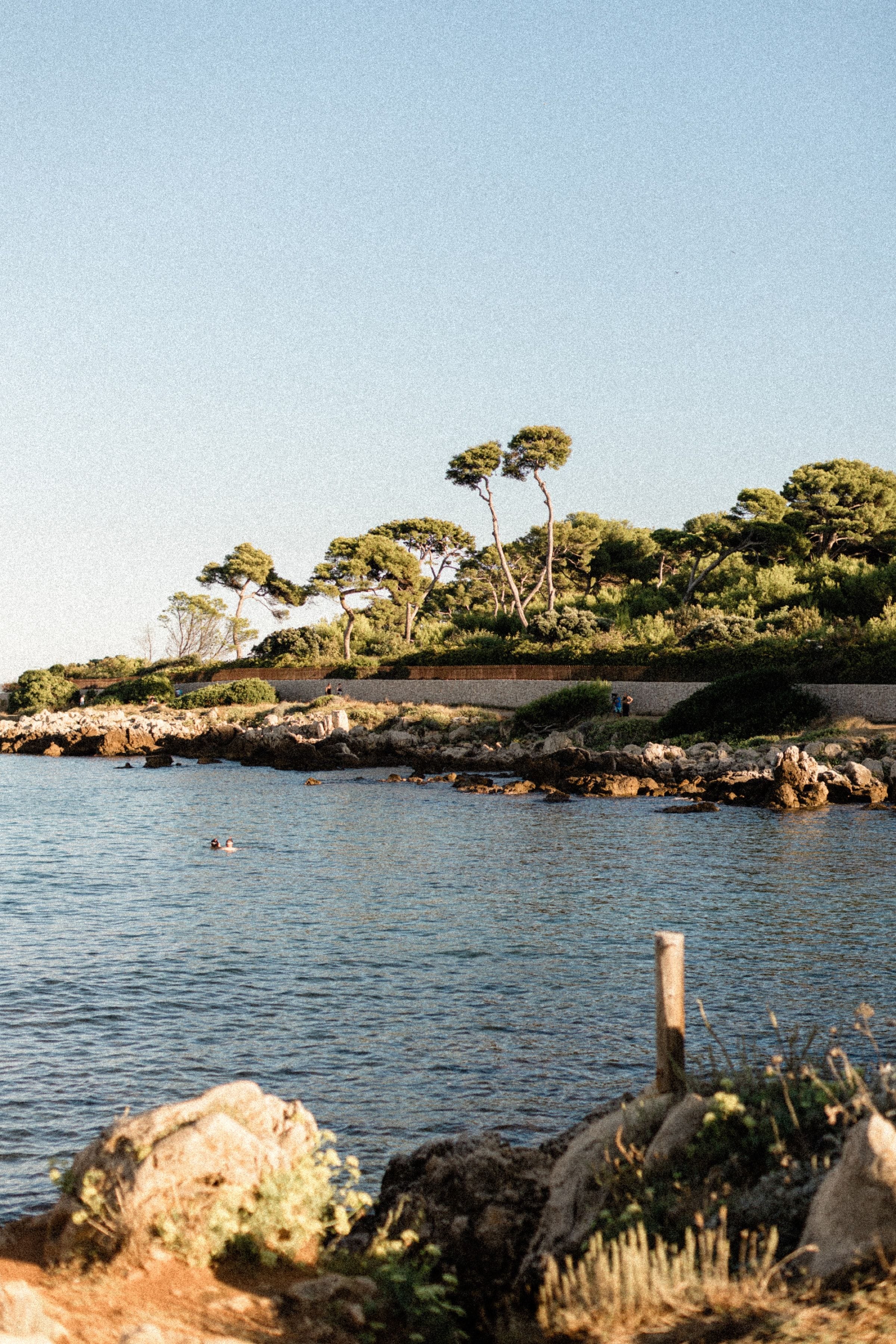 Séance photo de couple de Caitlyn et Will au Cap d'Antibes 1