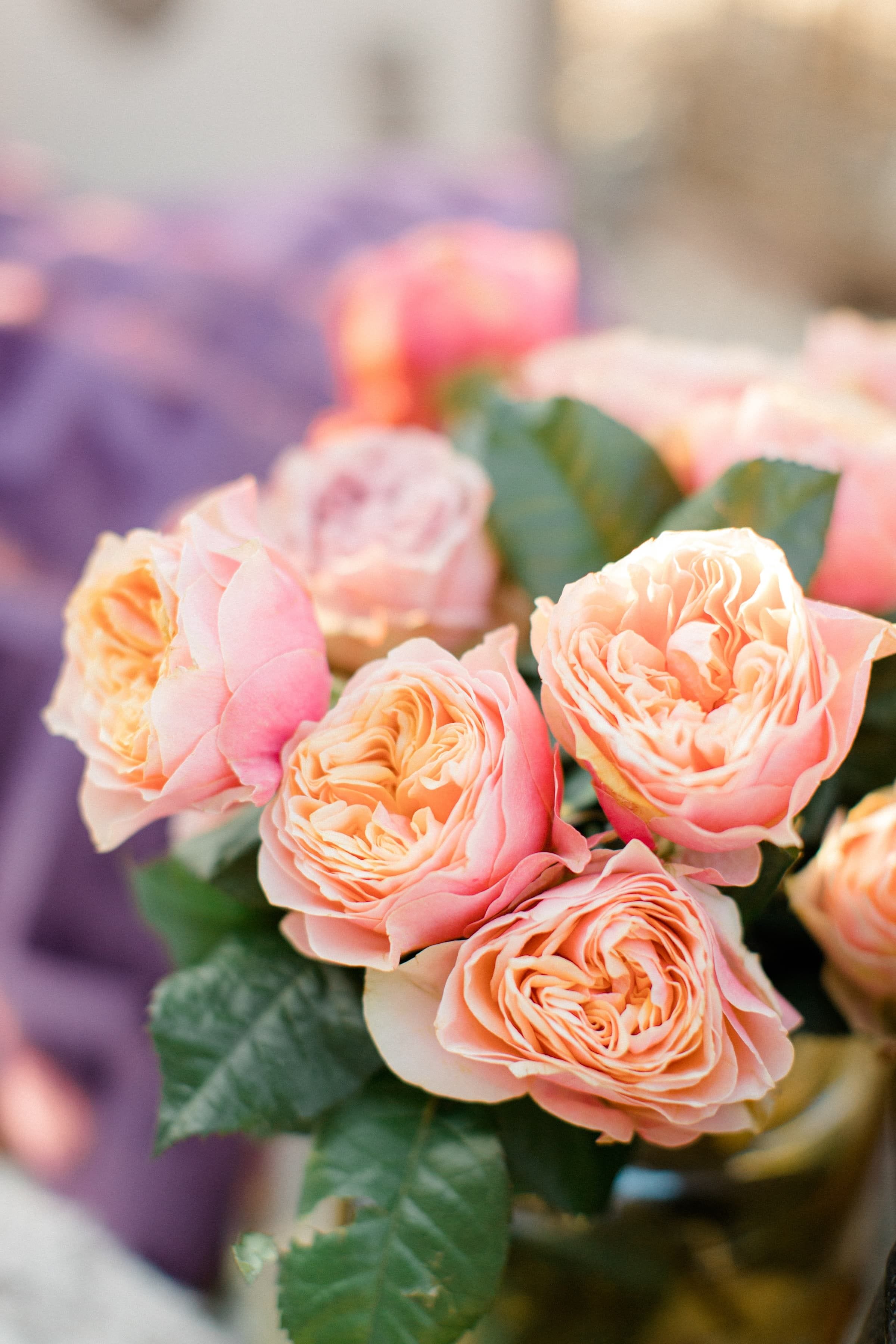 Charlotte & Raphaël / Couple 15