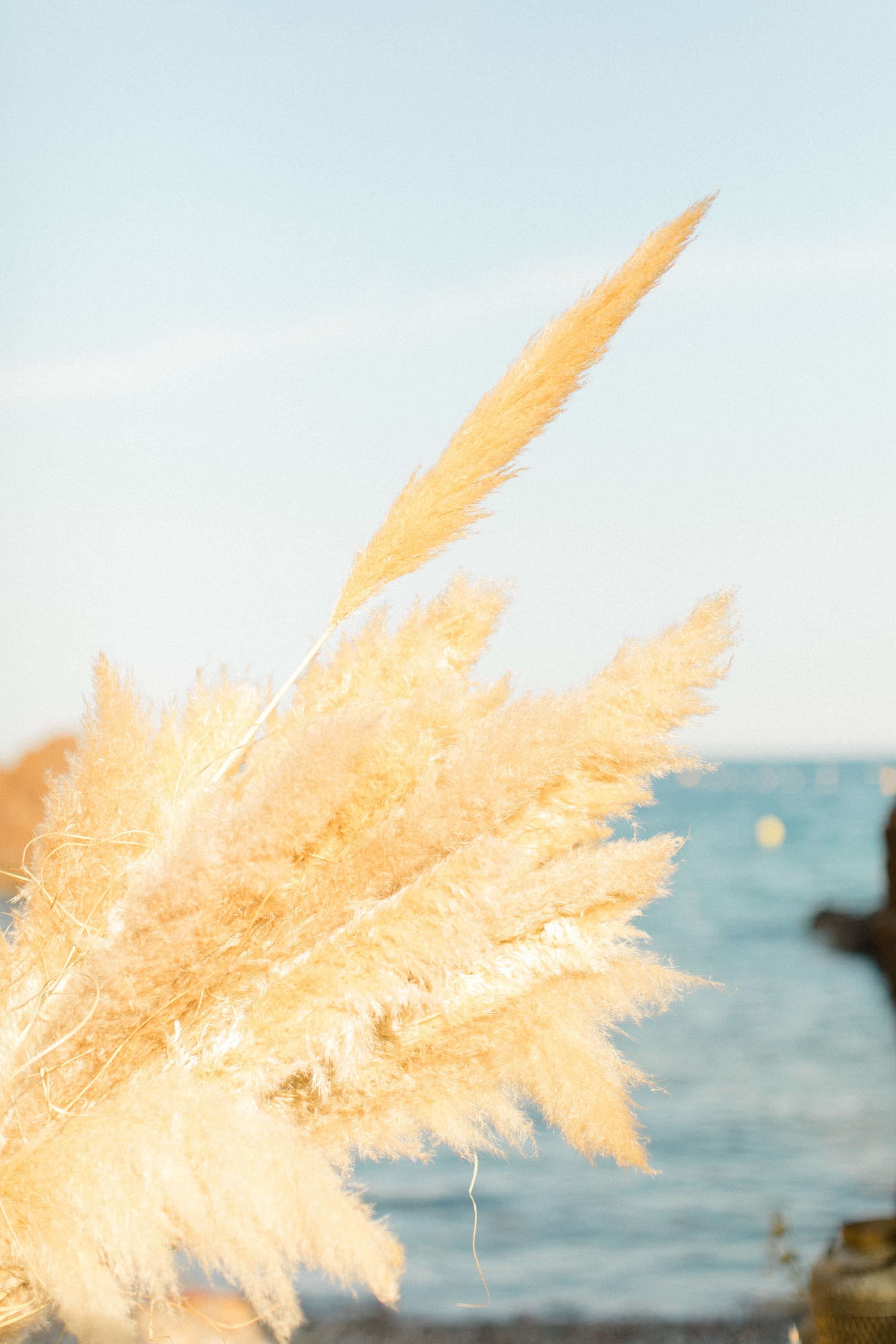 Charlotte & Raphaël / Couple 18