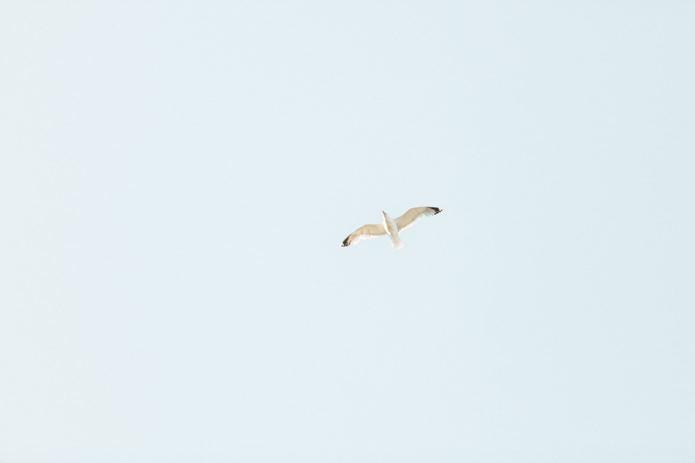 Charlotte & Raphaël / Couple 22