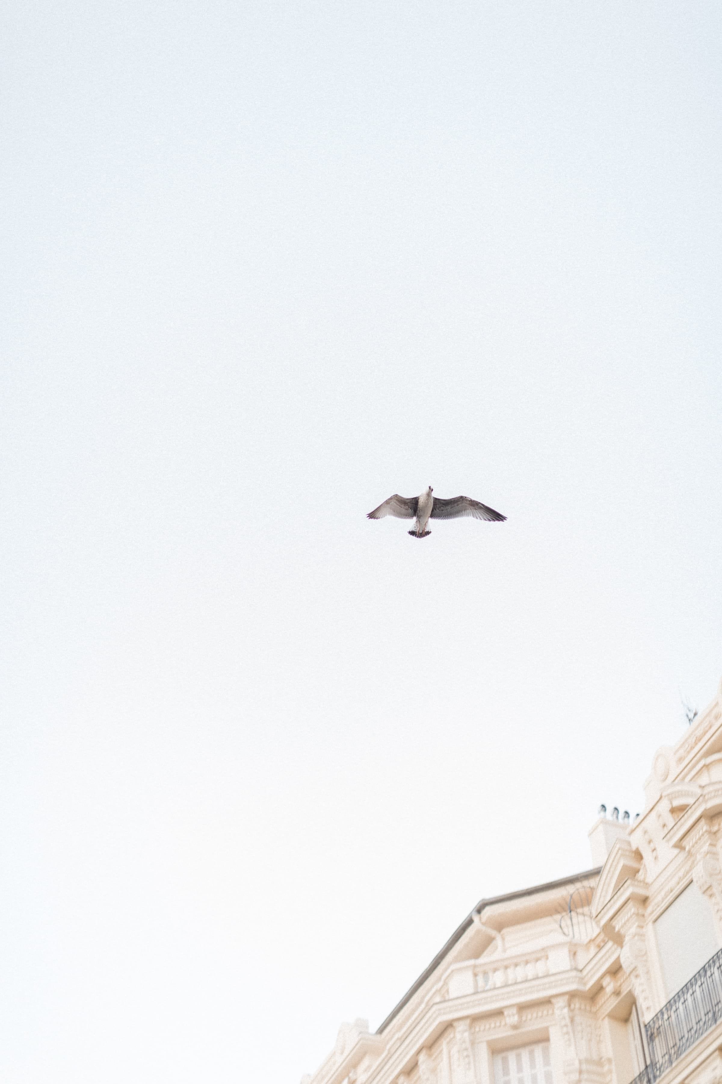 Cynthia & Mathieu / Couple 1