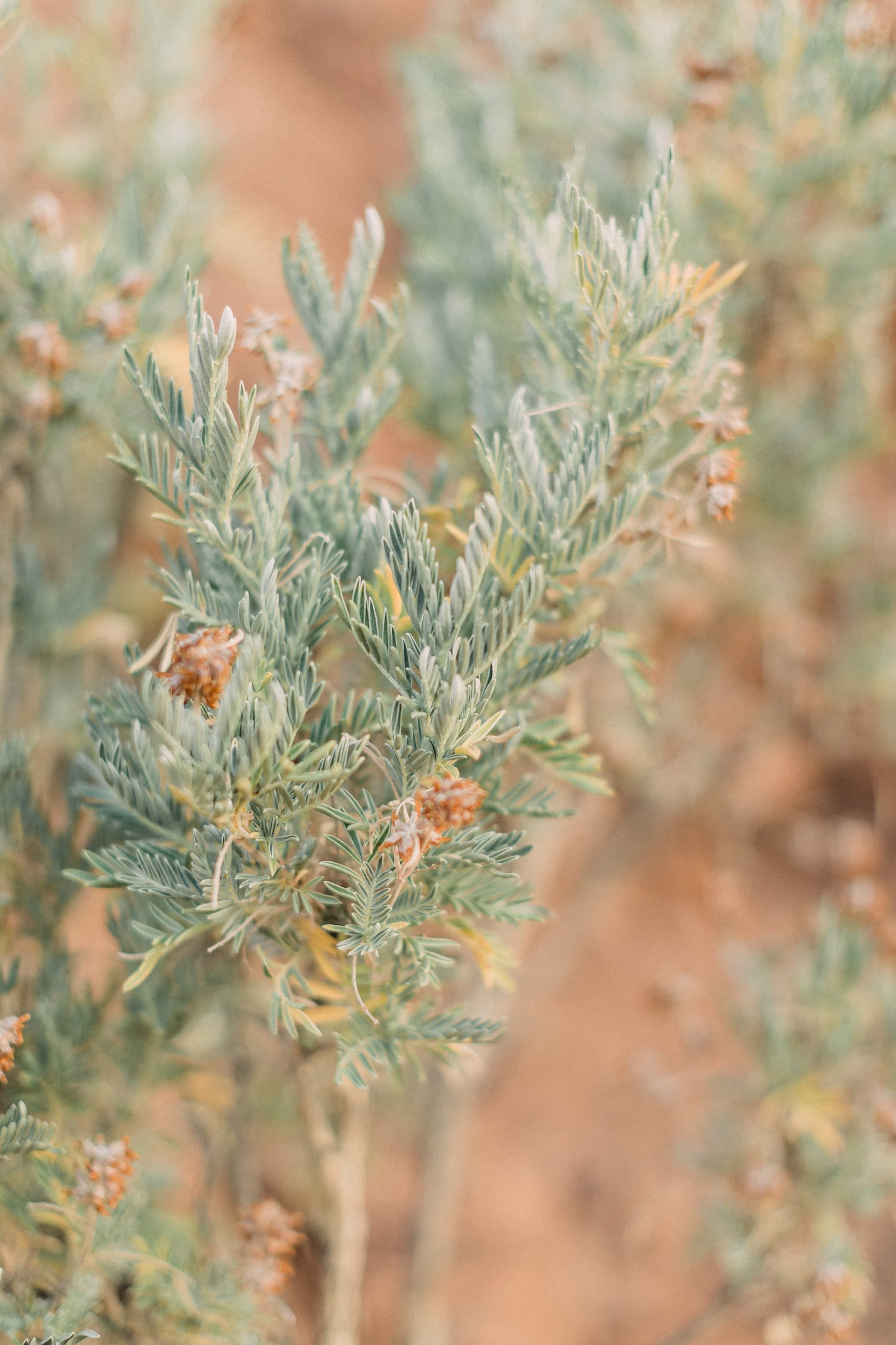 Emilie & Romain / Couple 1