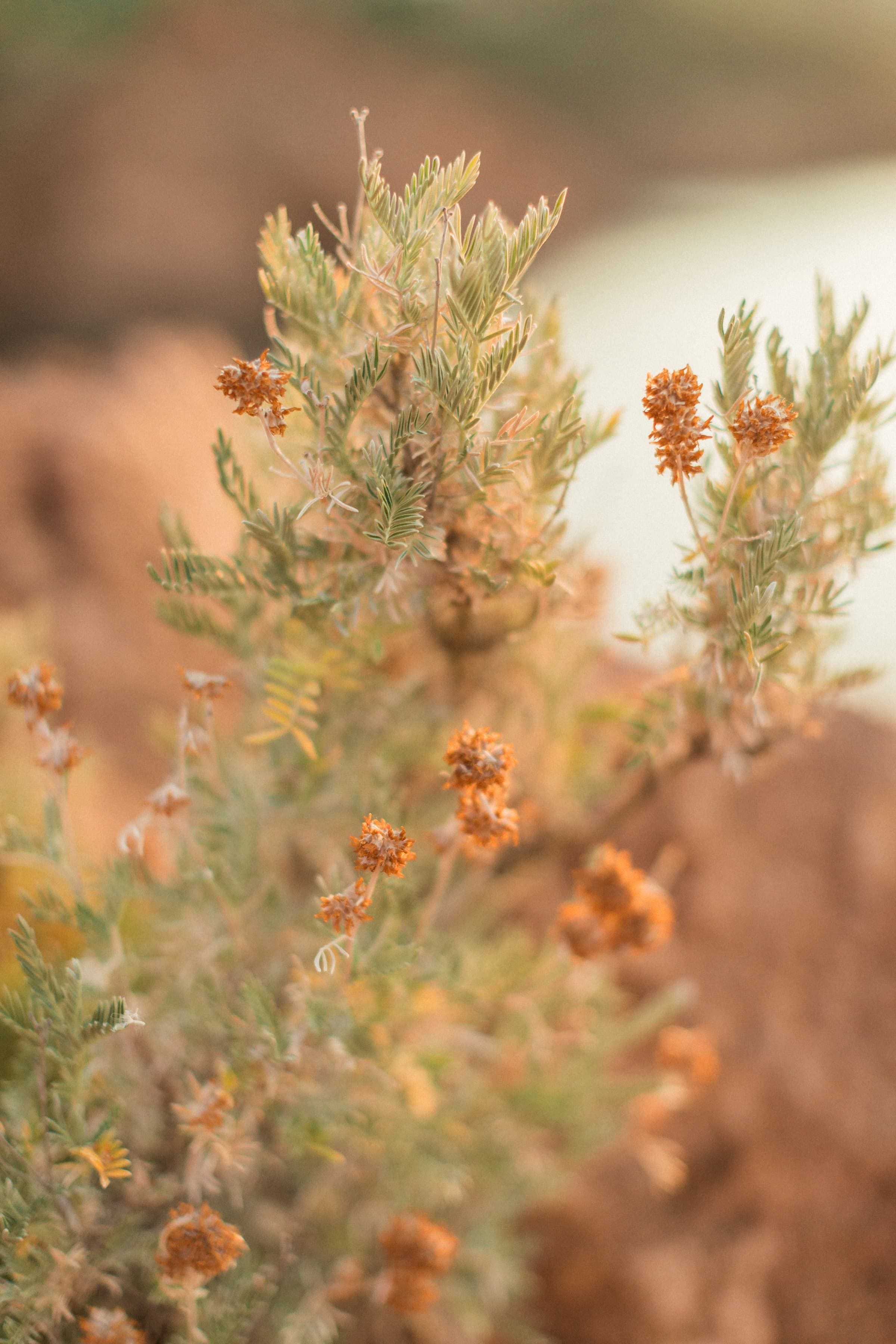 Emilie & Romain / Couple 17