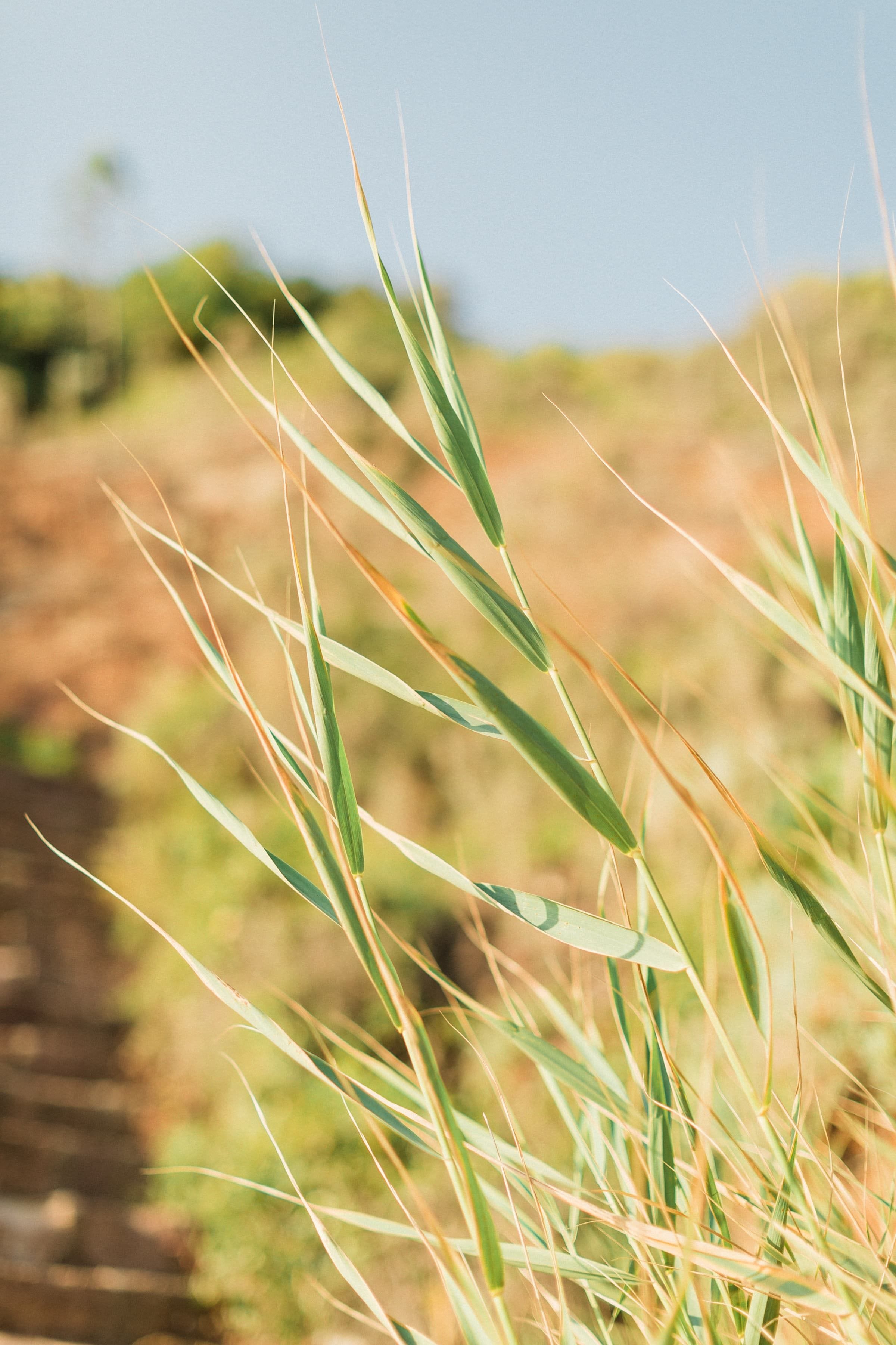 Emilie & Romain / Couple 29