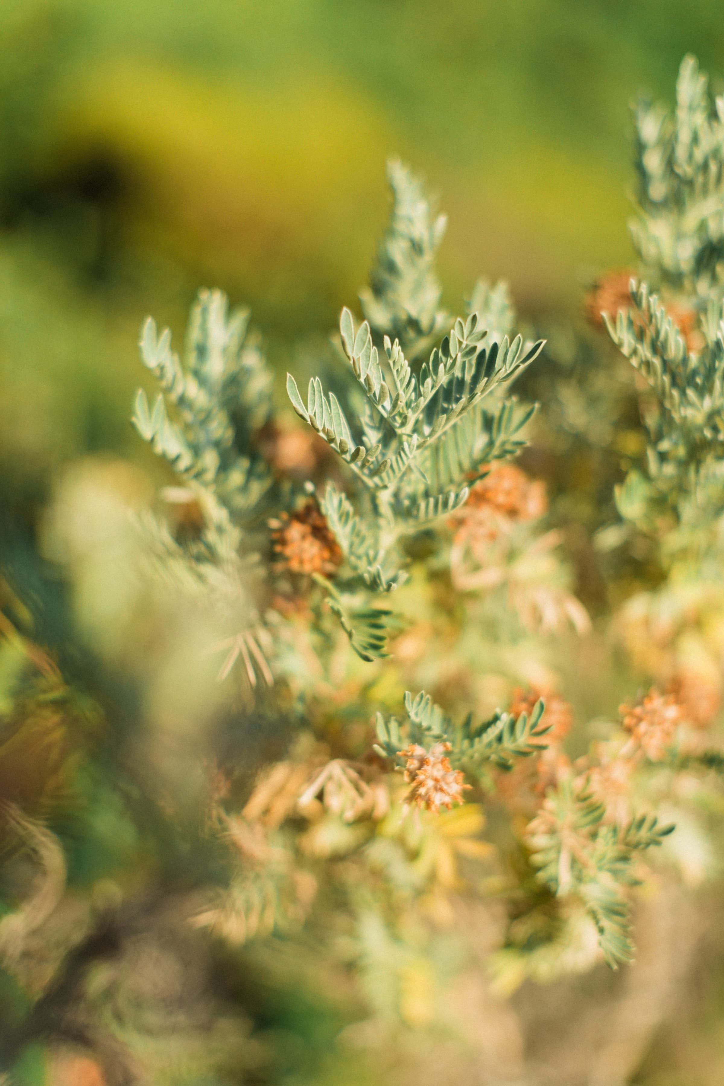 Emilie & Romain / Couple 32