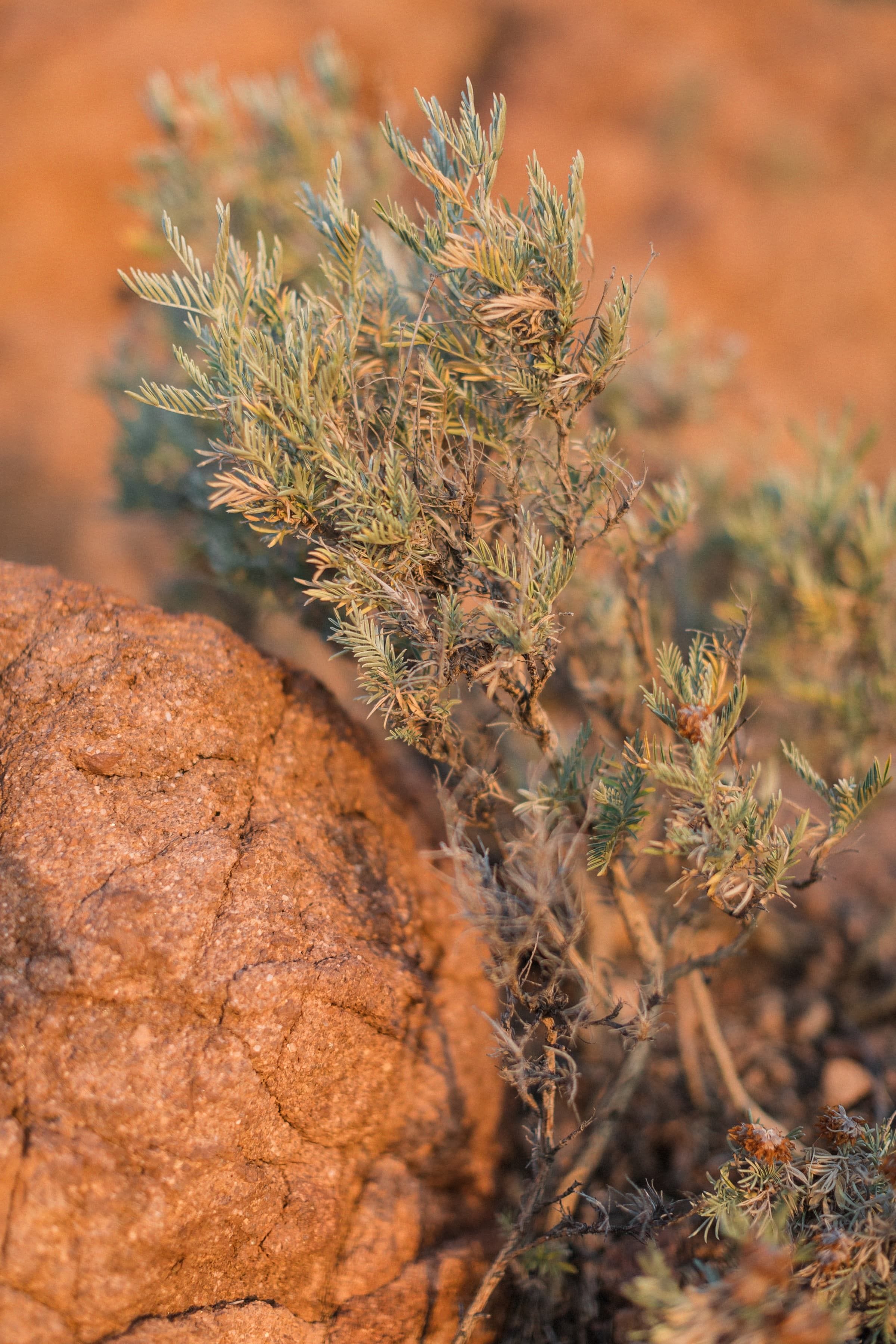 Emilie & Romain / Couple 5