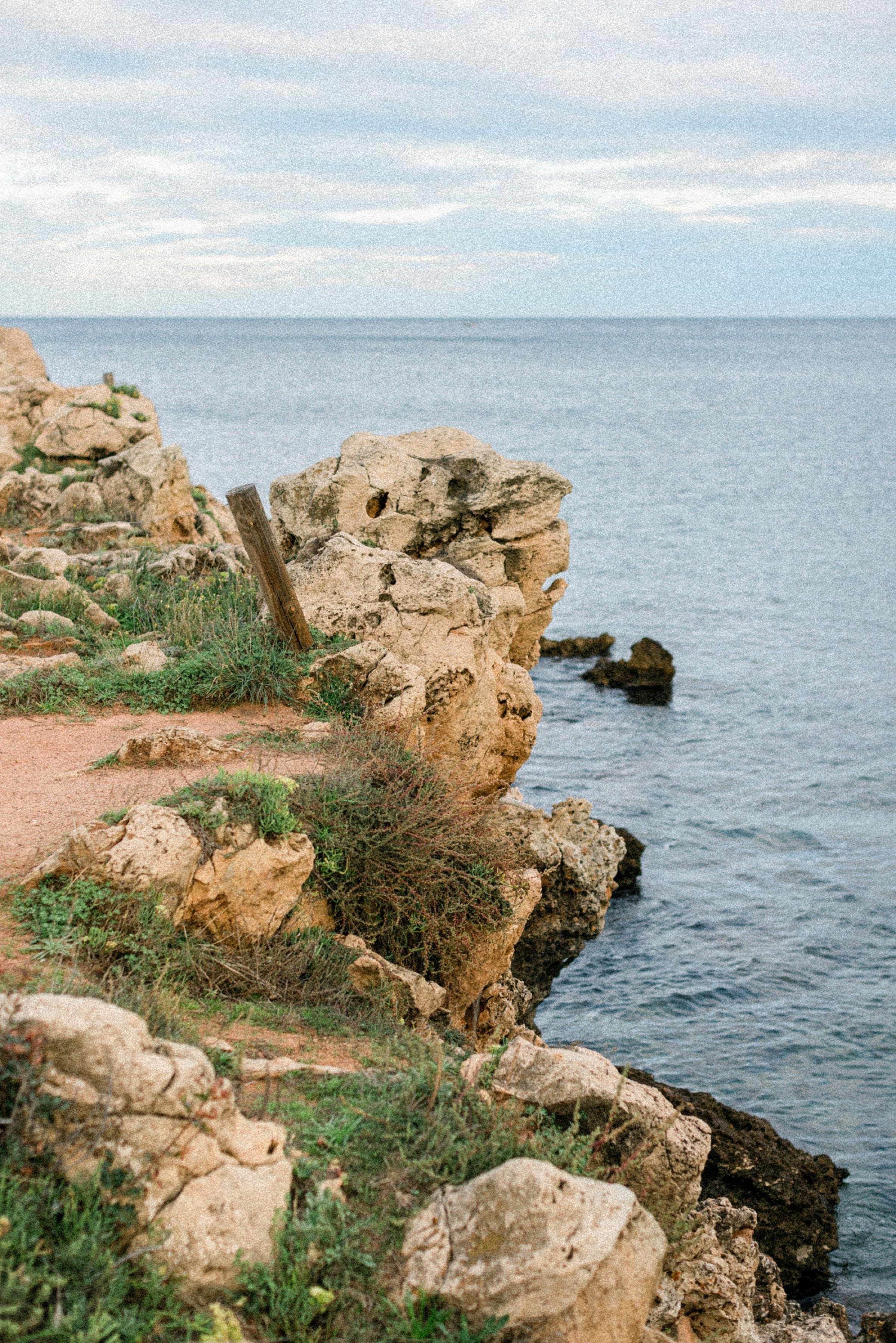 Demande en mariage de Connor à Nicole au Cap d'Antibes 11