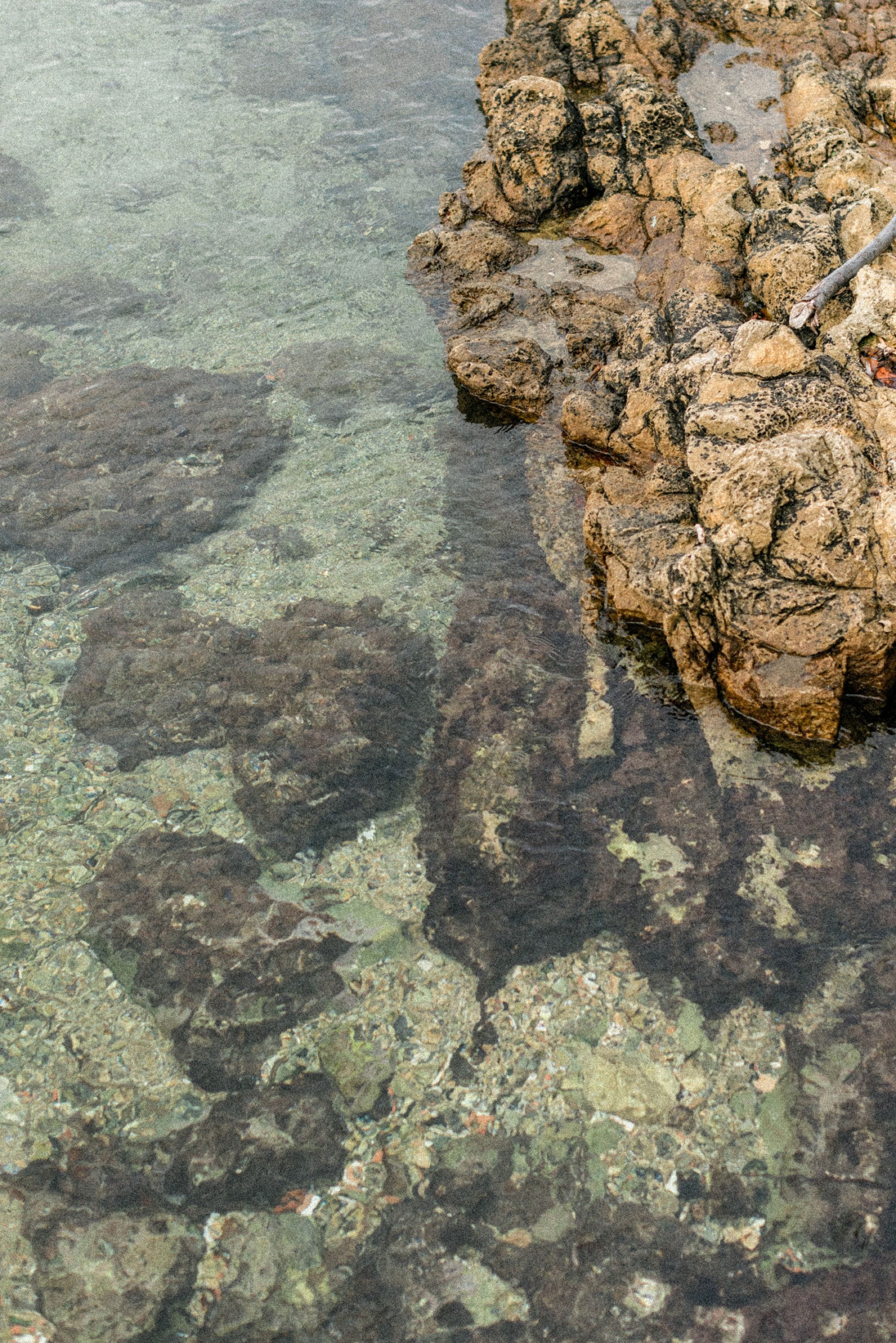 Demande en mariage de Connor à Nicole au Cap d'Antibes 3