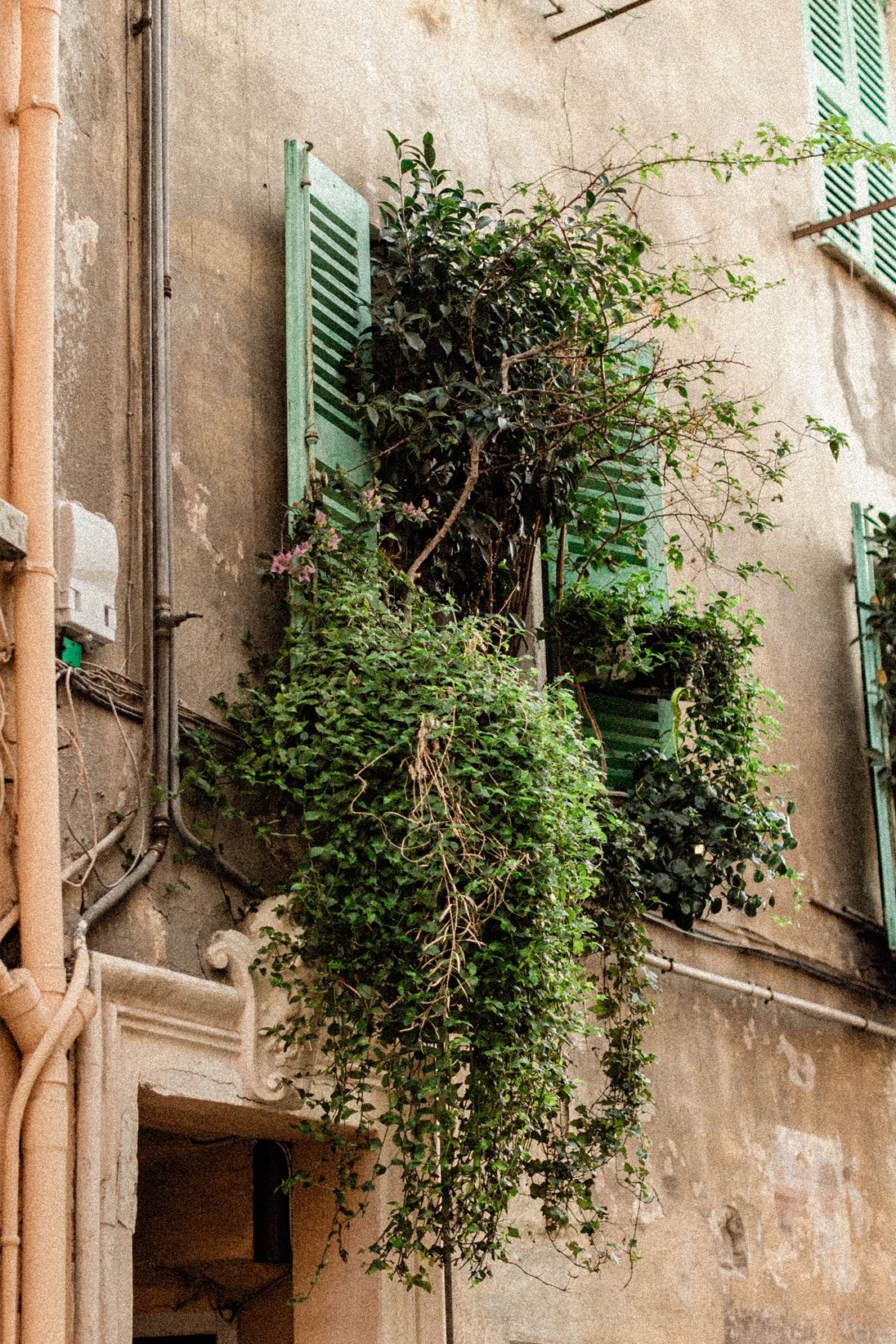 Séance photo de couple dans les ruelles pittoresques de Cannes 27