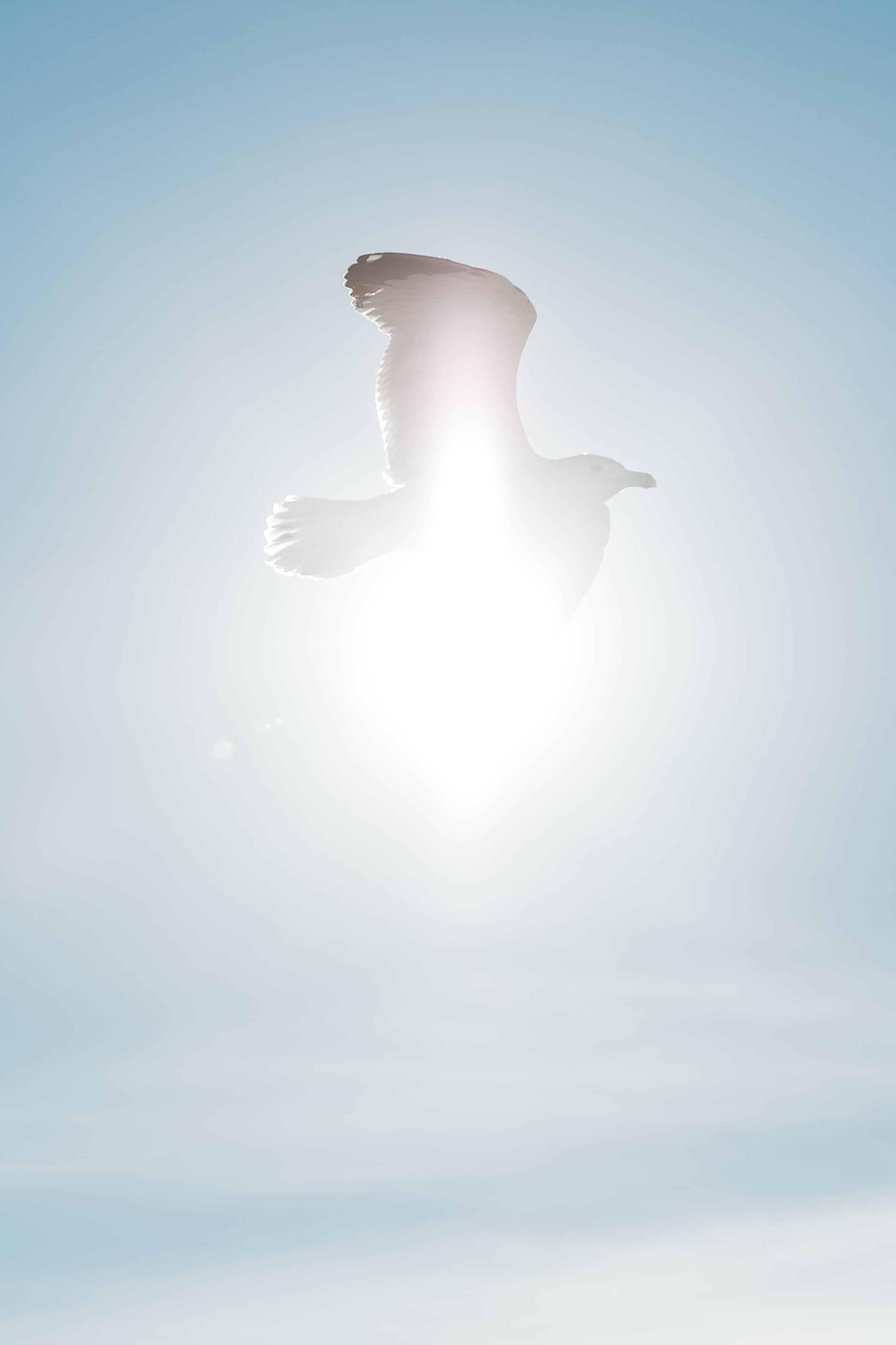 Shangri-La Group / Evénement 13