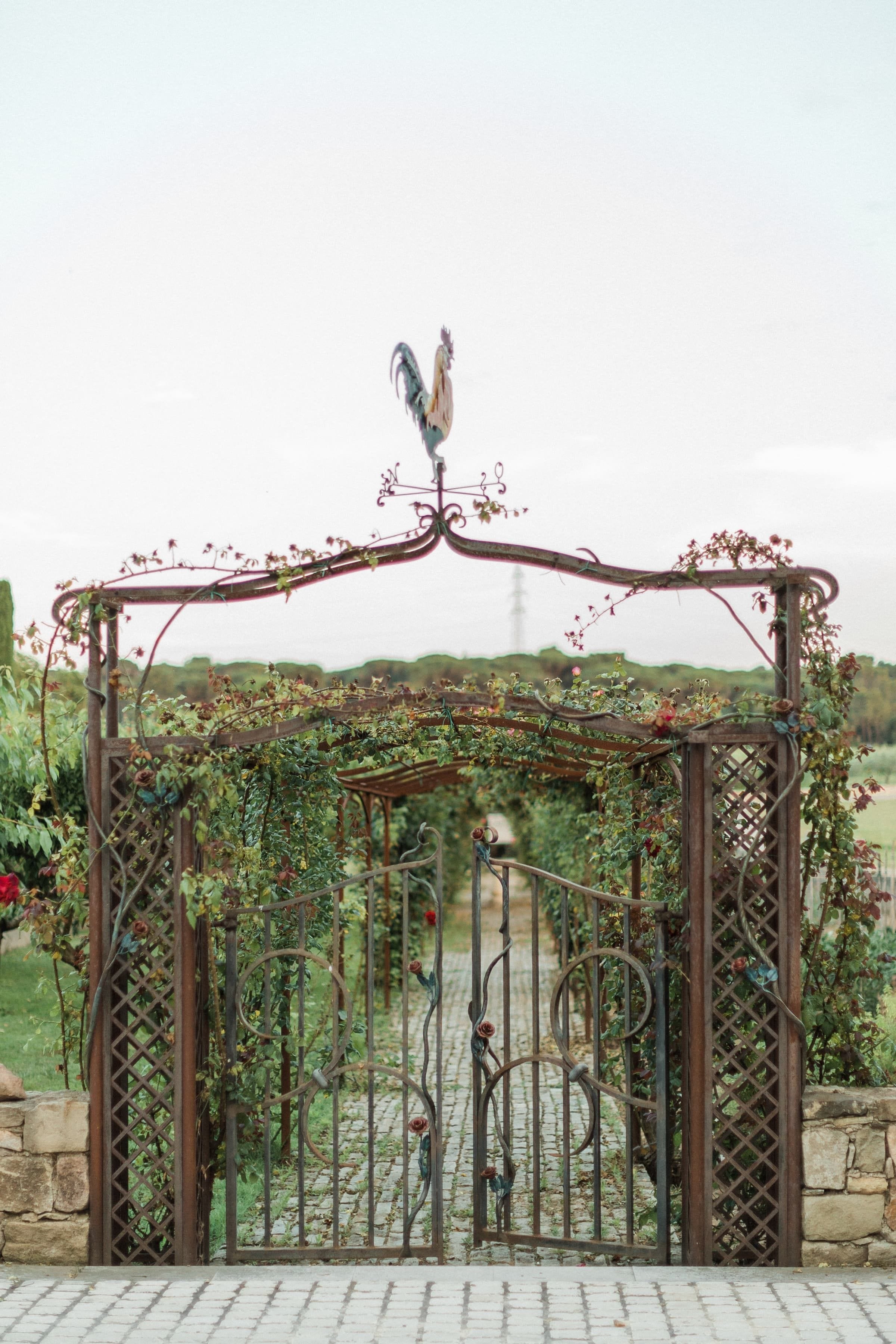 Béa & Alexandre / Mariage 36