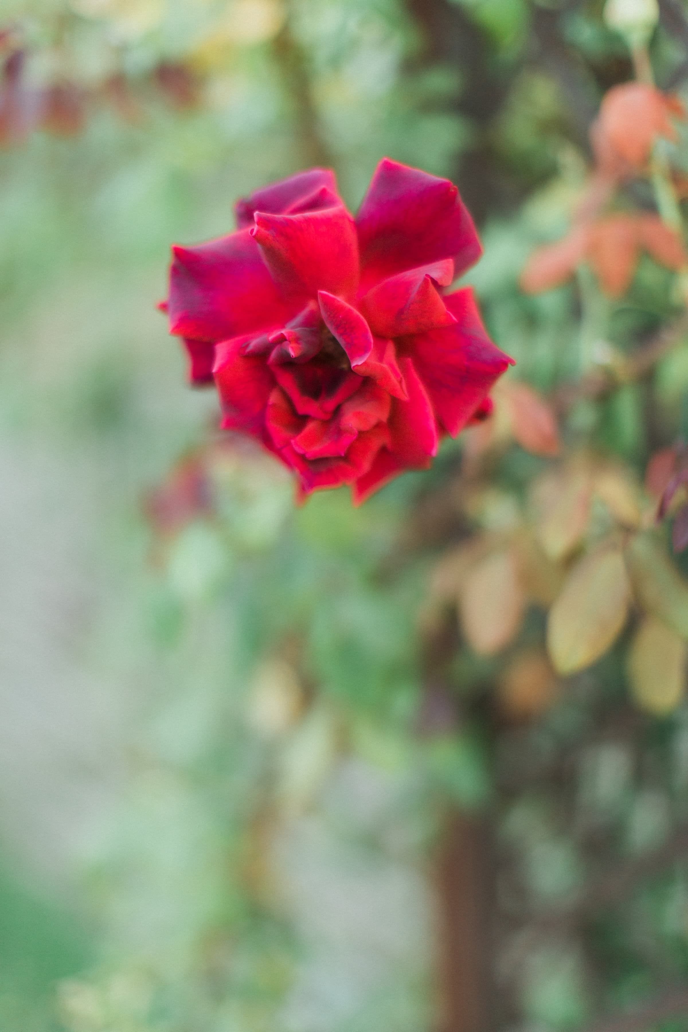 Béa & Alexandre / Mariage 44