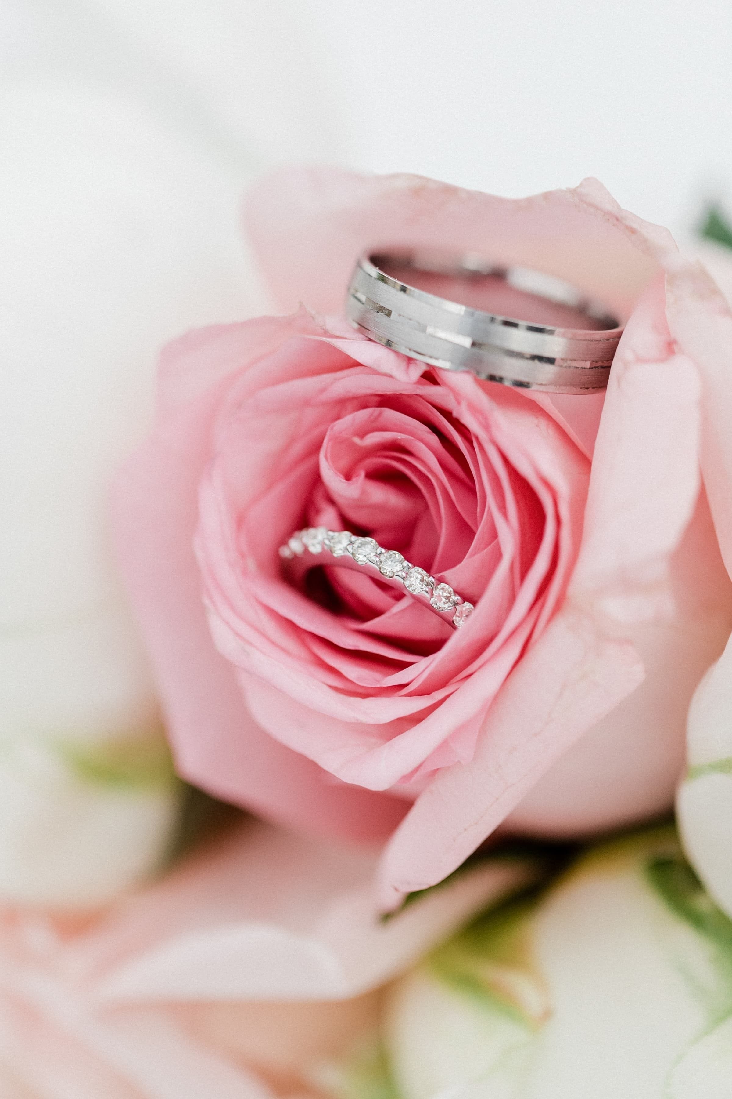 Bella & Stephen / Mariage 37