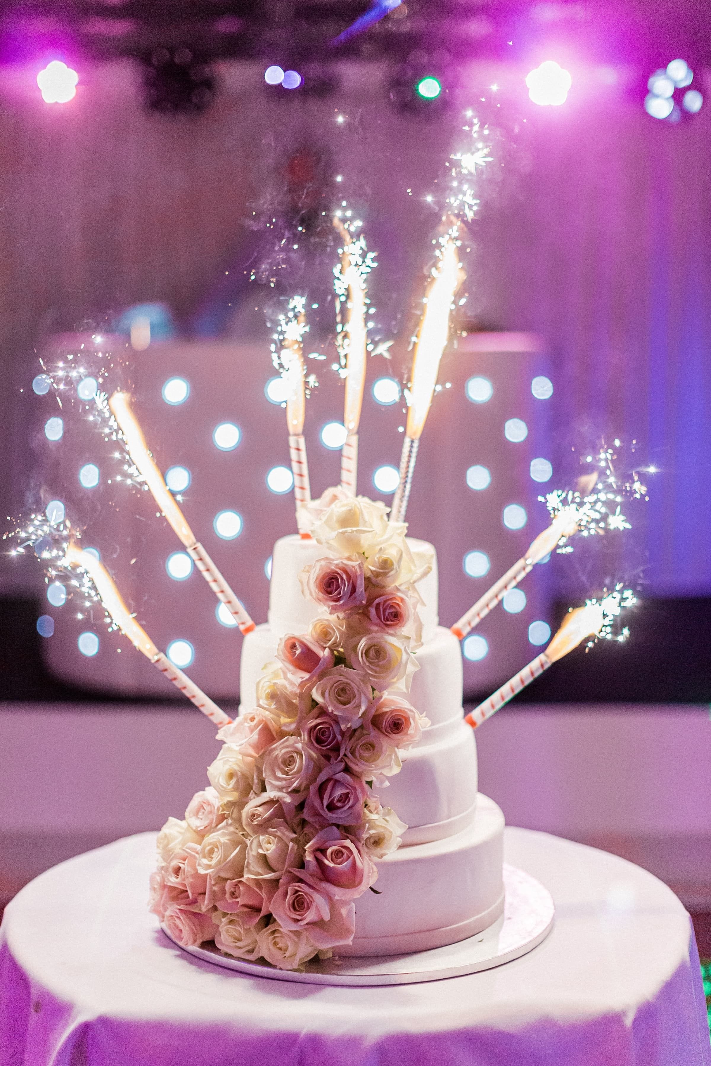 Bella & Stephen / Mariage 47