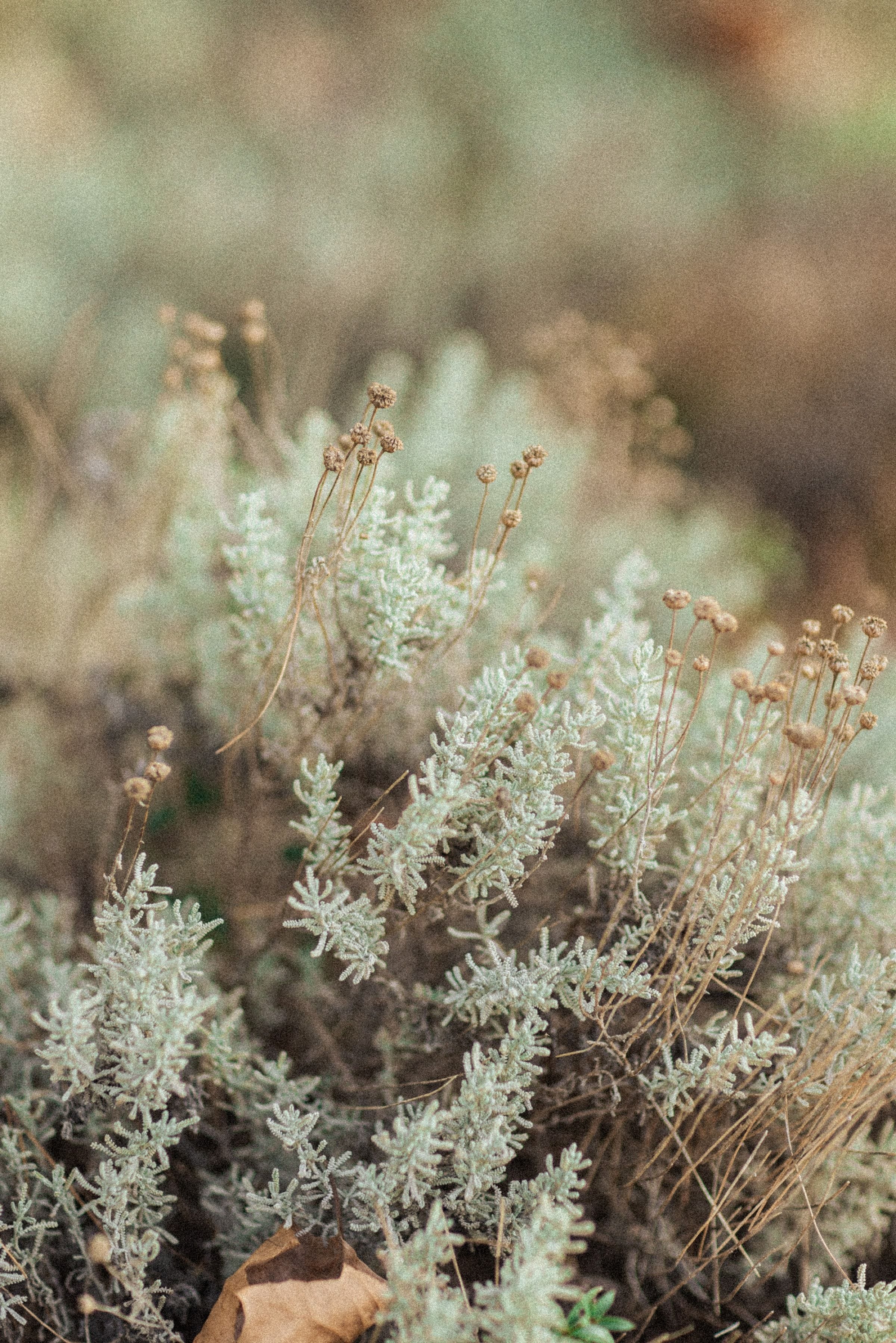 Mariage de Fiona & Paul au Manoir de l'Étang à Mougins 2