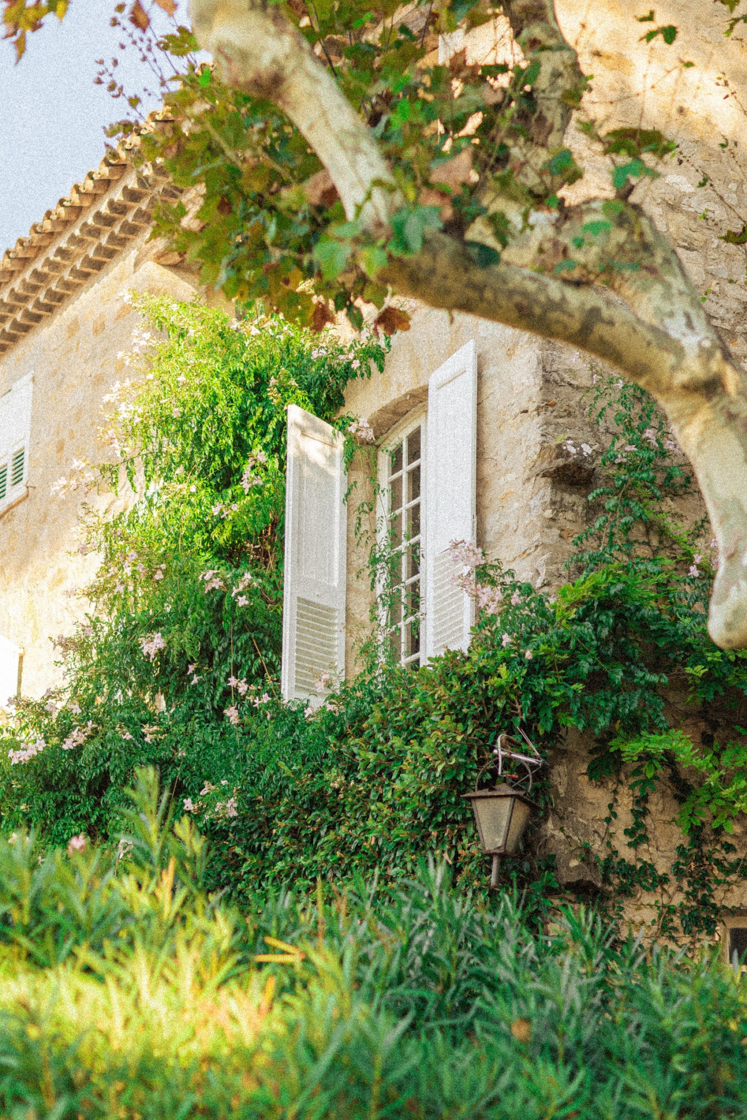 Mariage de Fiona & Paul au Manoir de l'Étang à Mougins 5