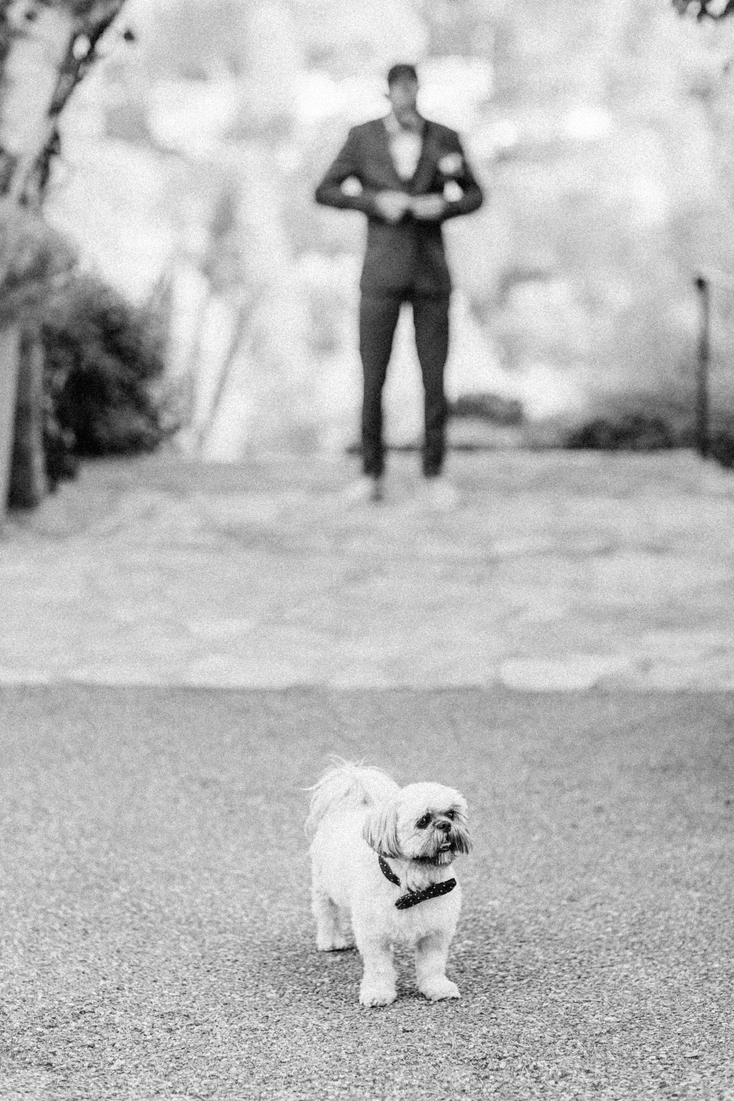 Mariage de Fiona & Paul au Manoir de l'Étang à Mougins 64
