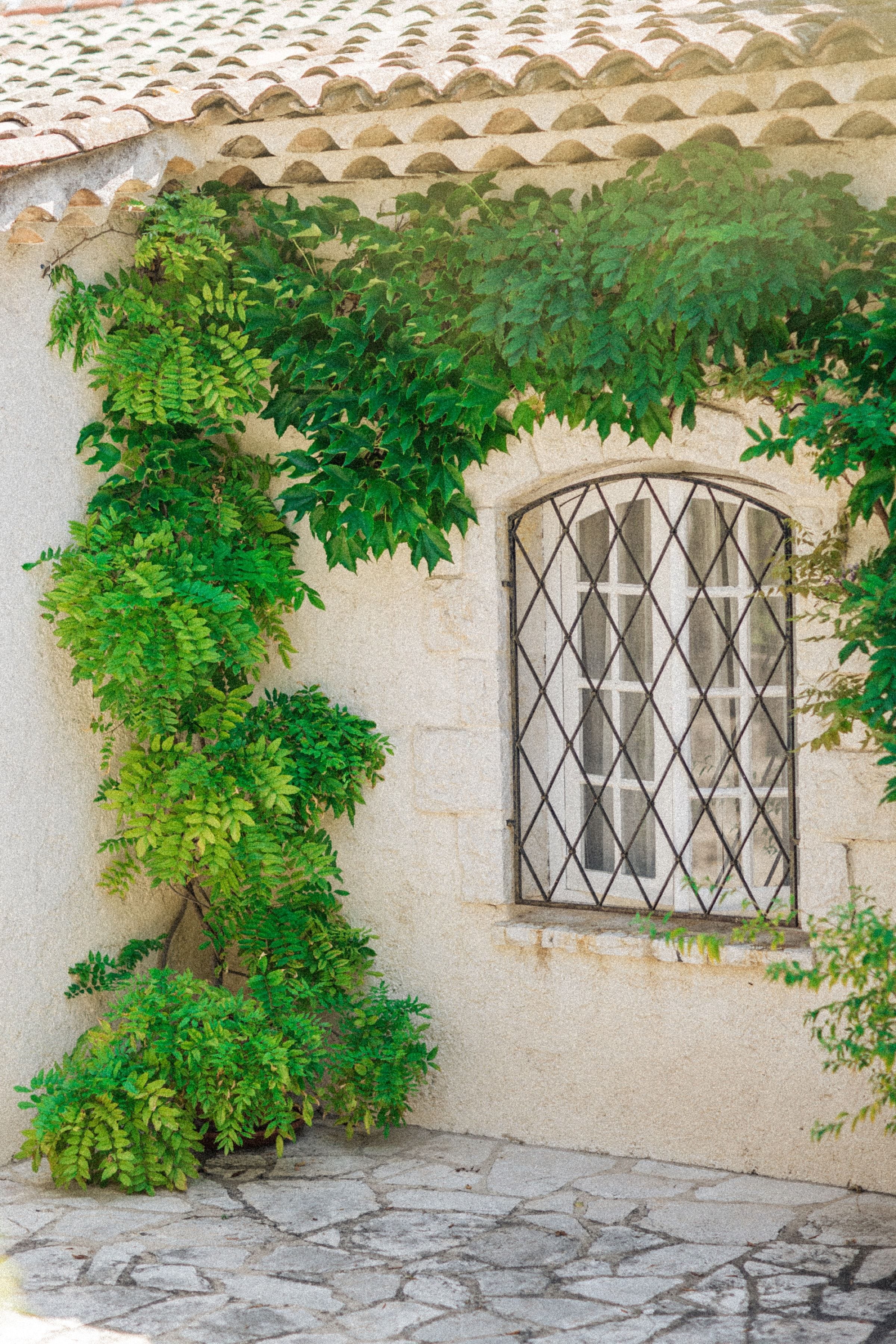 Le mariage rayonnant de Florence & David 2