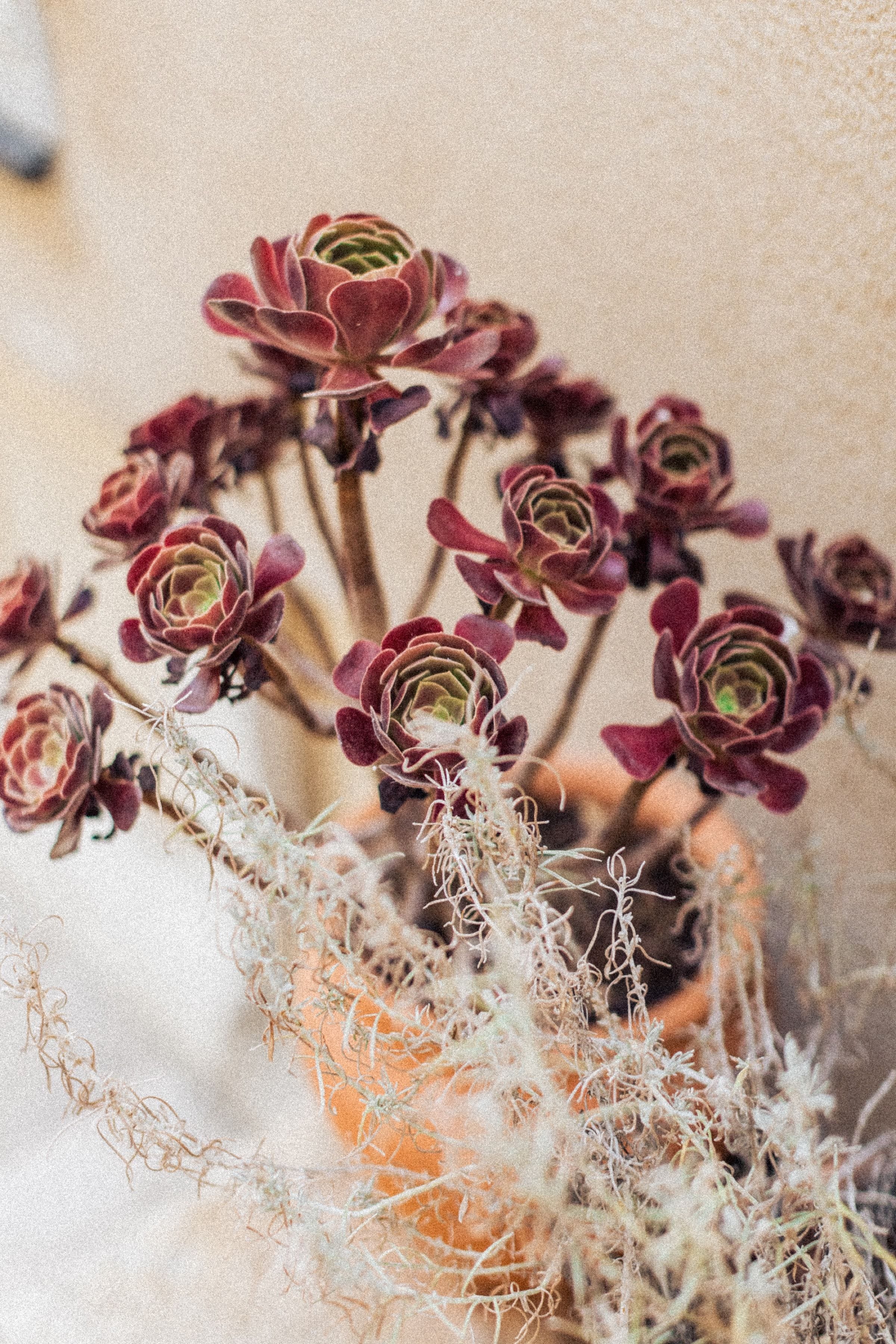 Le mariage rayonnant de Florence & David 29