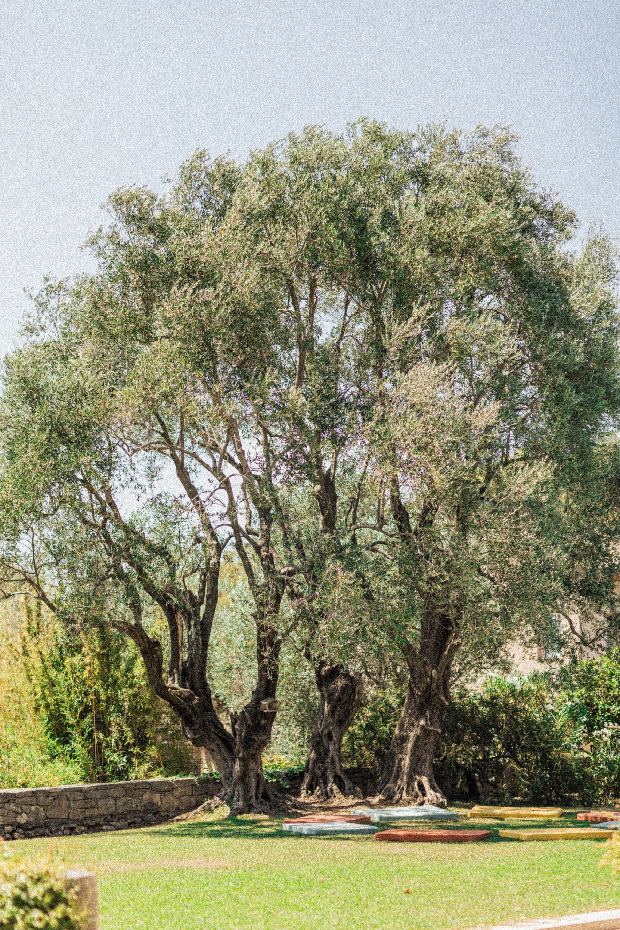 Le mariage rayonnant de Florence & David 3